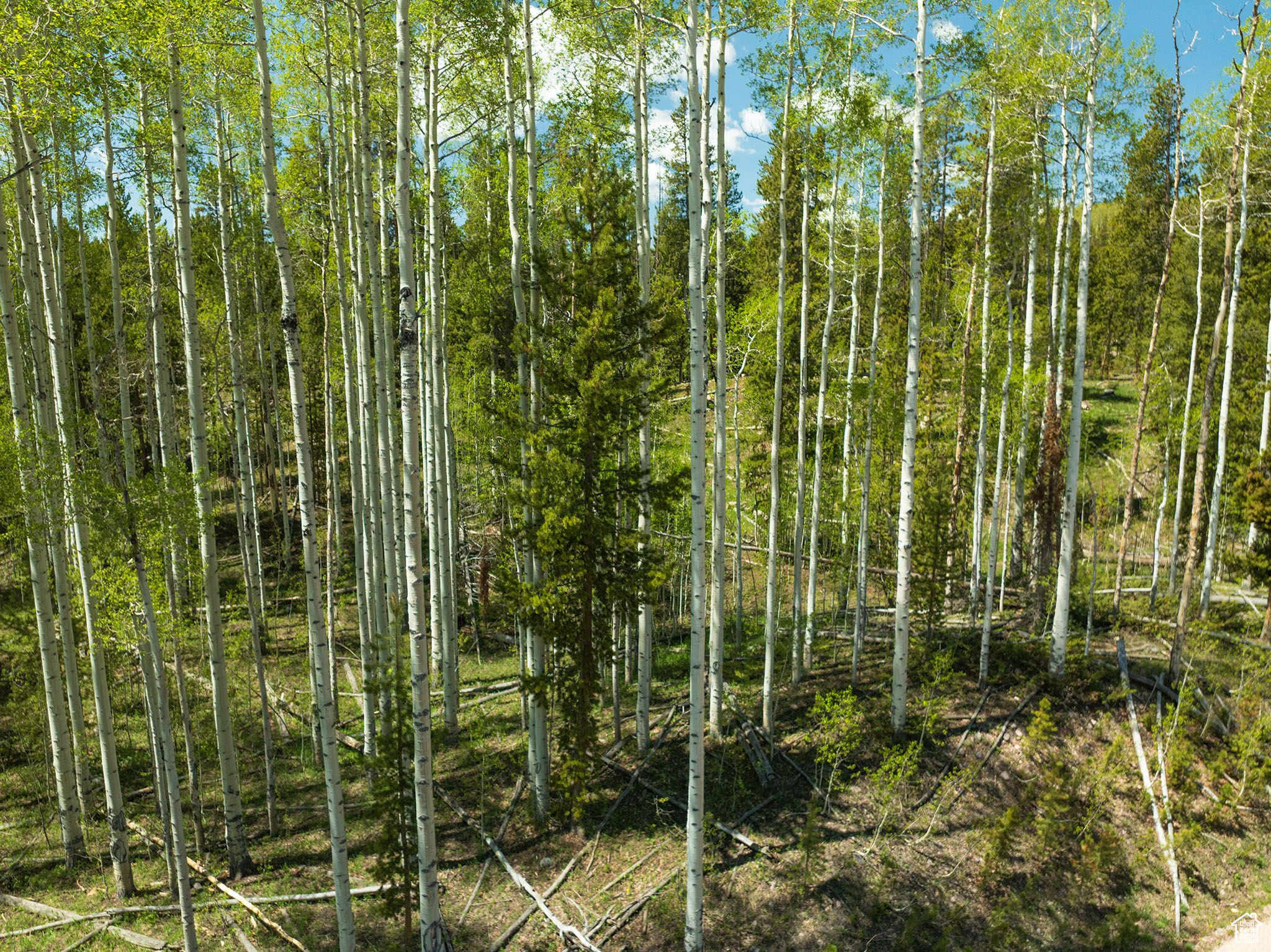 2045 Stillwater Loop #18, Kamas, Utah image 30