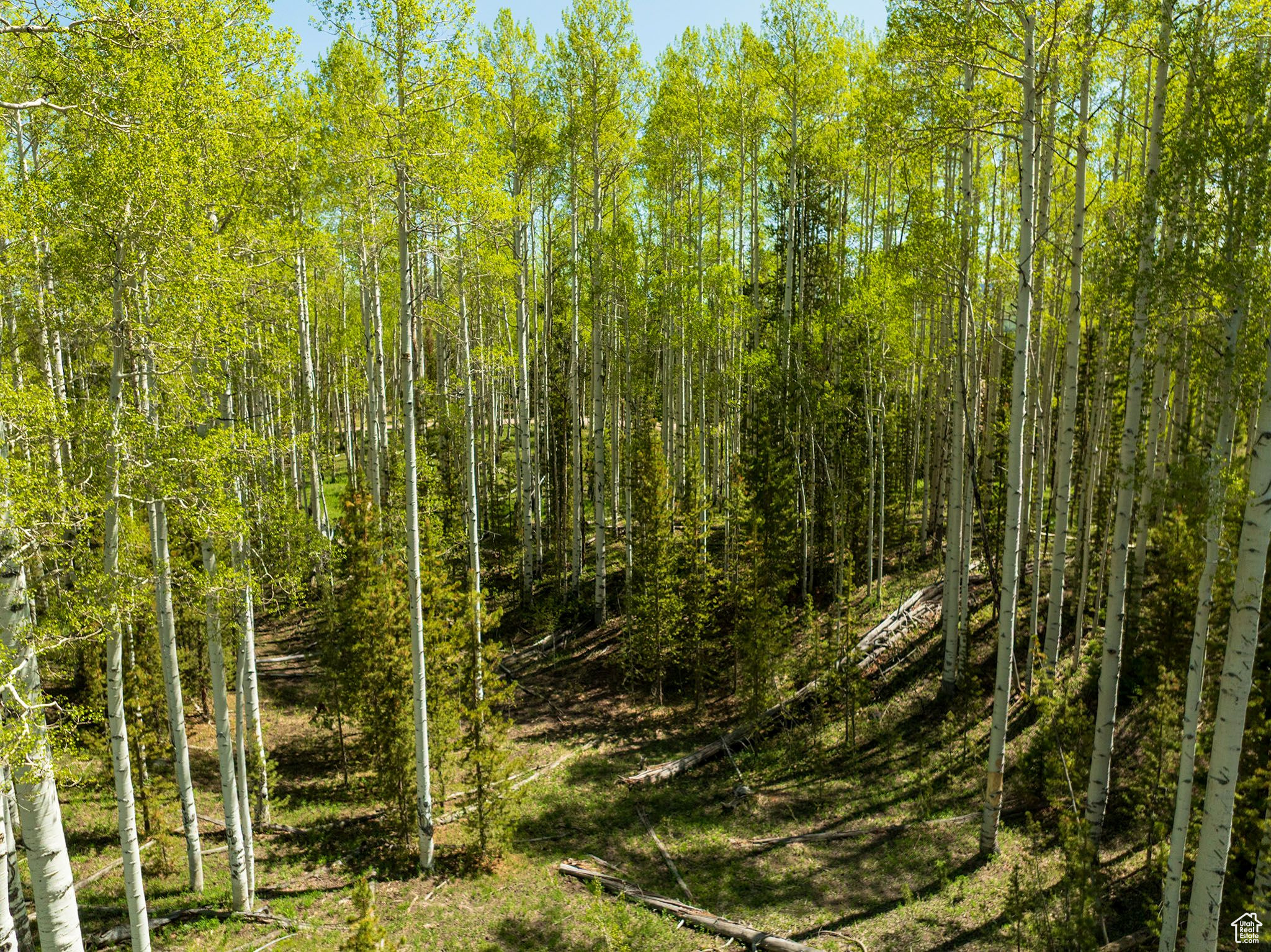 2045 Stillwater Loop #18, Kamas, Utah image 25