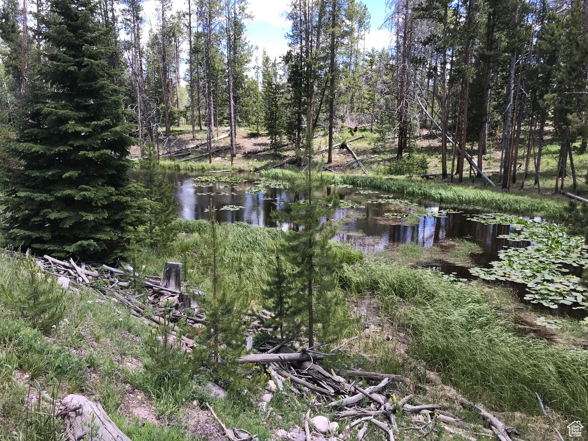 2045 Stillwater Loop #18, Kamas, Utah image 41
