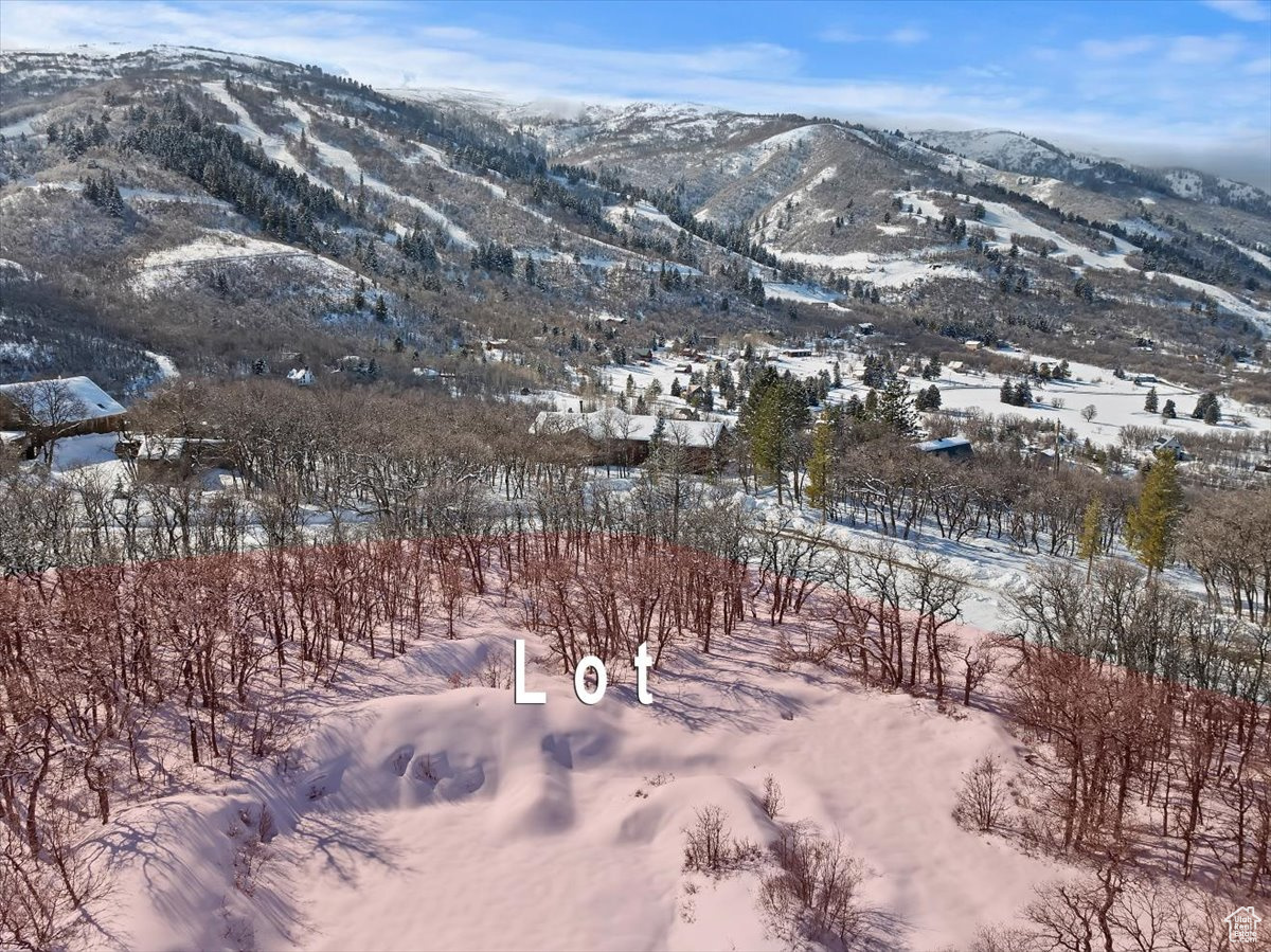 2403 Panorama Cir, Liberty, Utah image 21