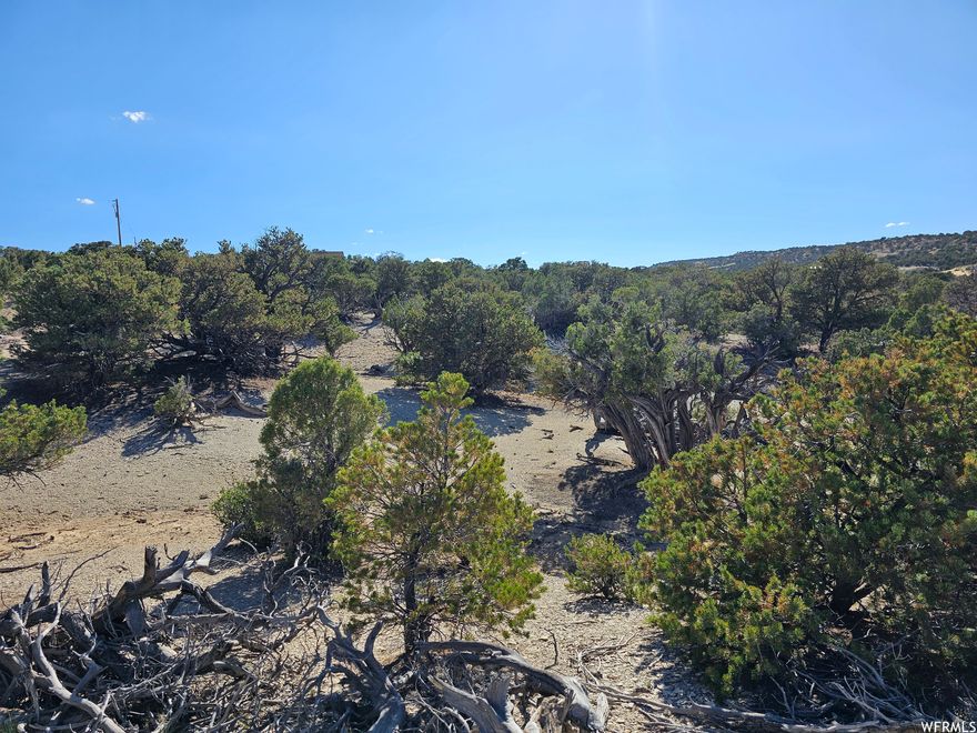 Great year round access close to Hwy 40. This lovely property would be a great place for your dream home. Located about 10 minutes West of Duchesne and Starvation Reservoir. Water well and septic system available at buyer's expense. Power is located across the road from the property. This property could be for recreational or residential. Great location near the lake for summer fun and just far enough from town so you can enjoy your privacy!!-