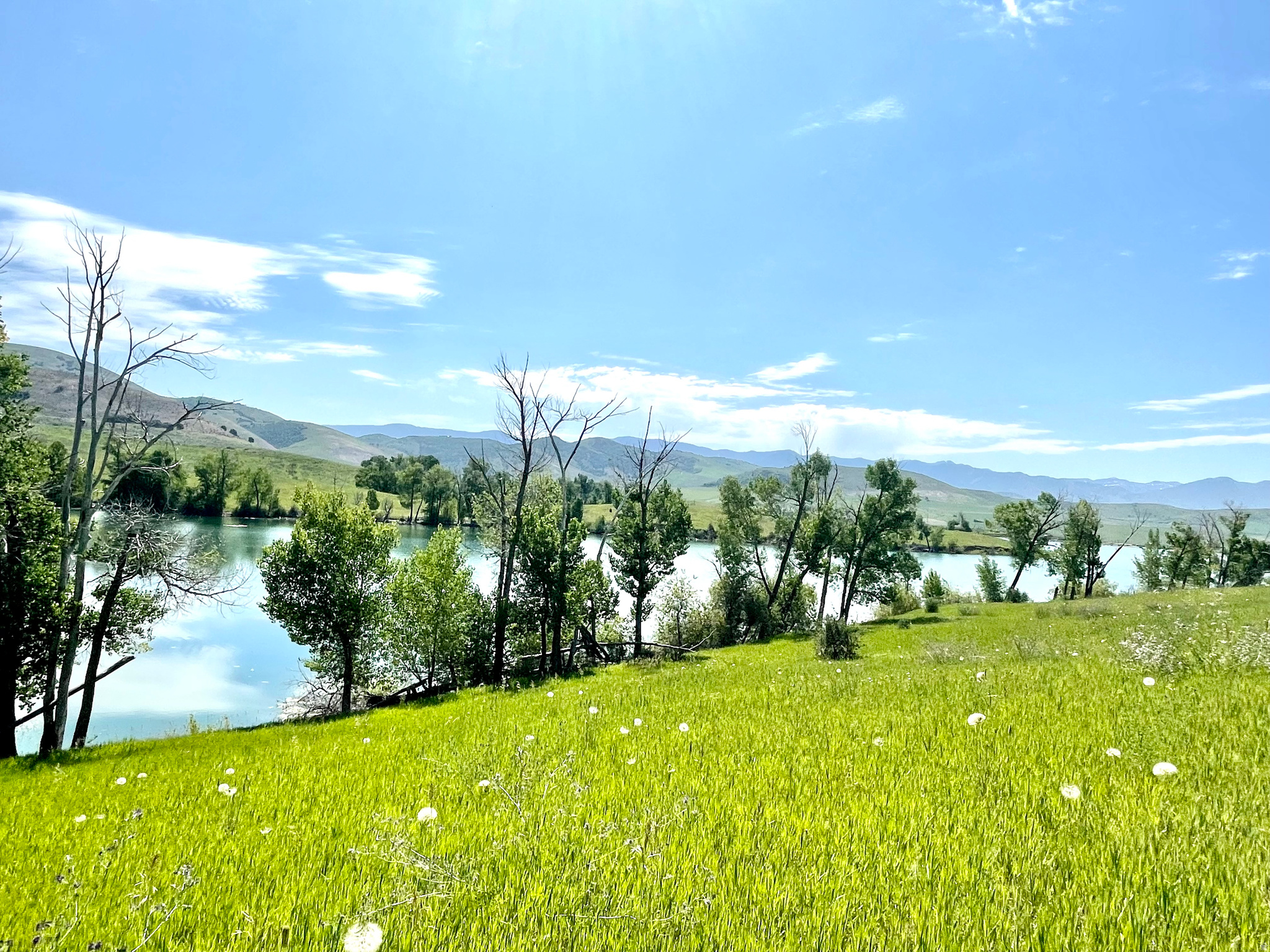 COTTONWOOD ESTATES - Land