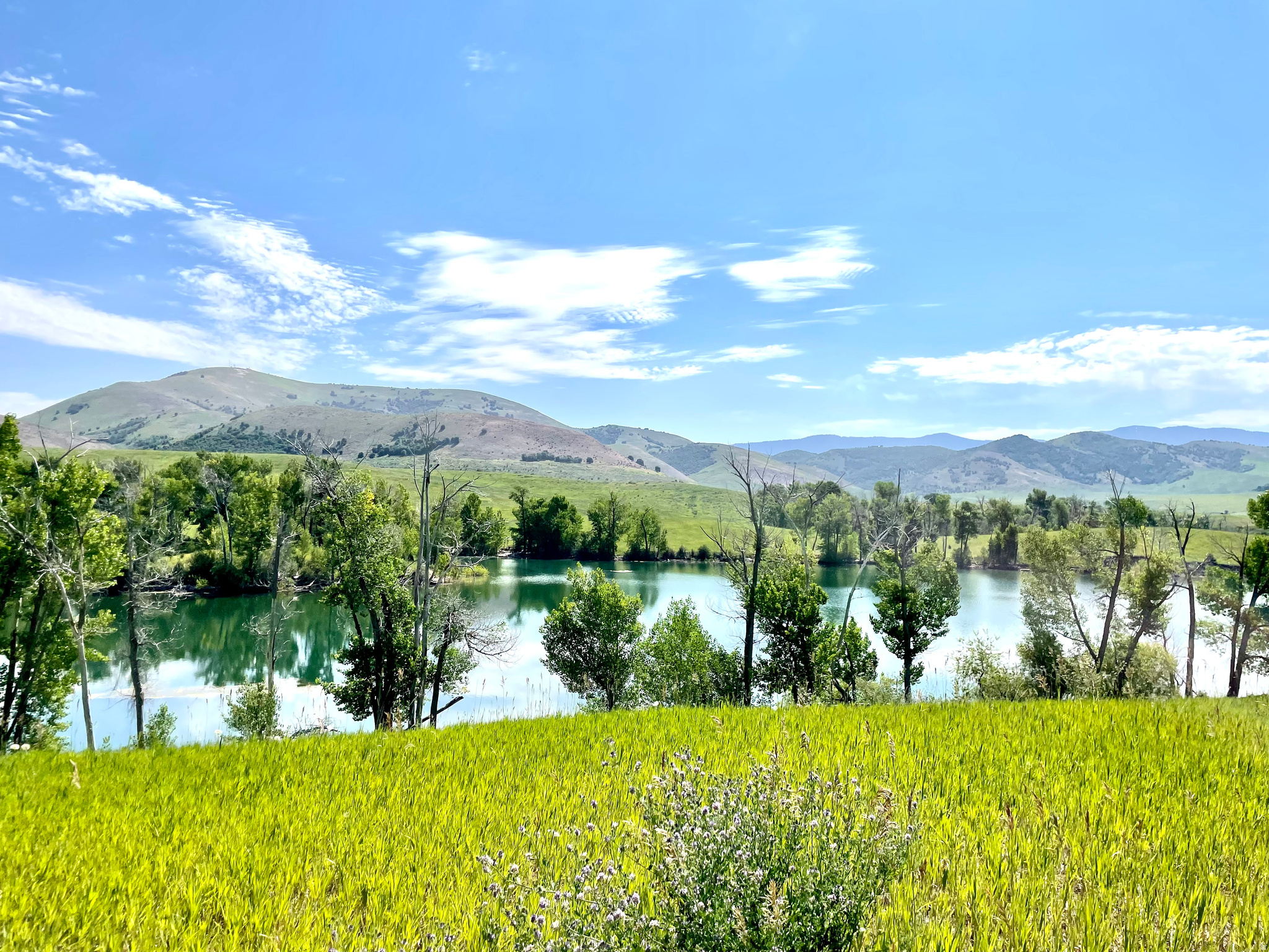 COTTONWOOD ESTATES - Land