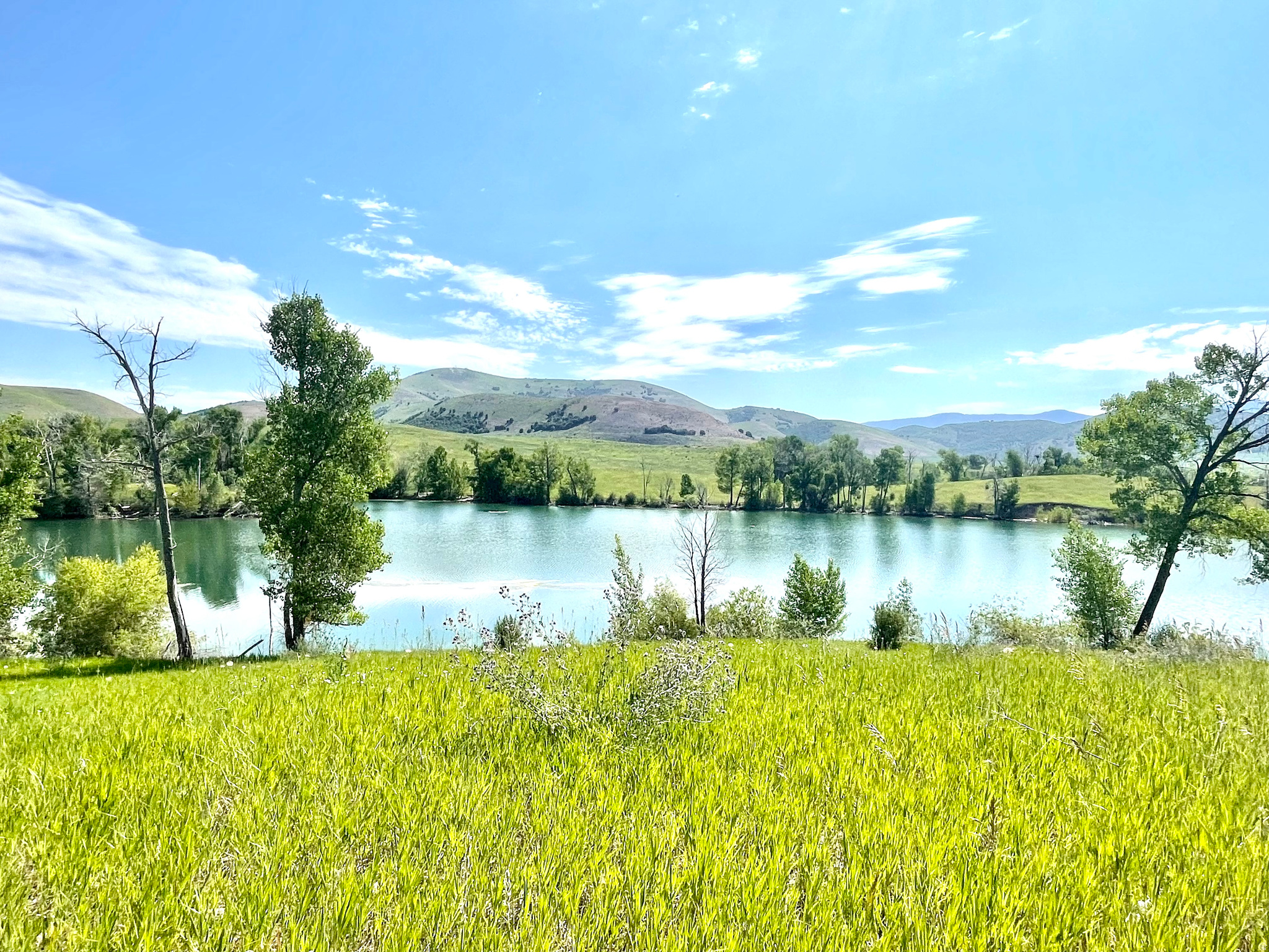 COTTONWOOD ESTATES - Land