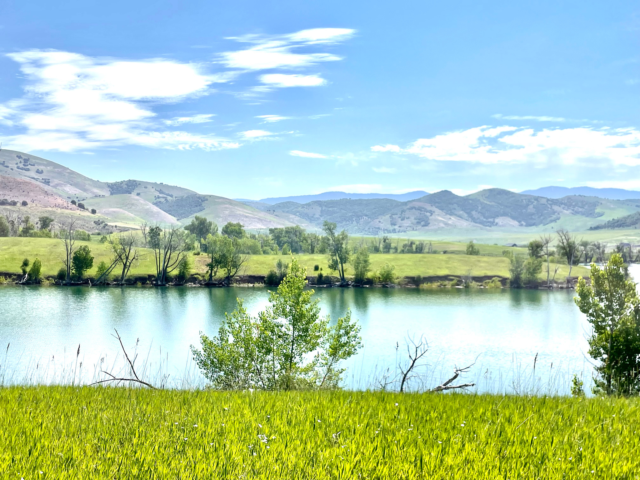 COTTONWOOD ESTATES - Land