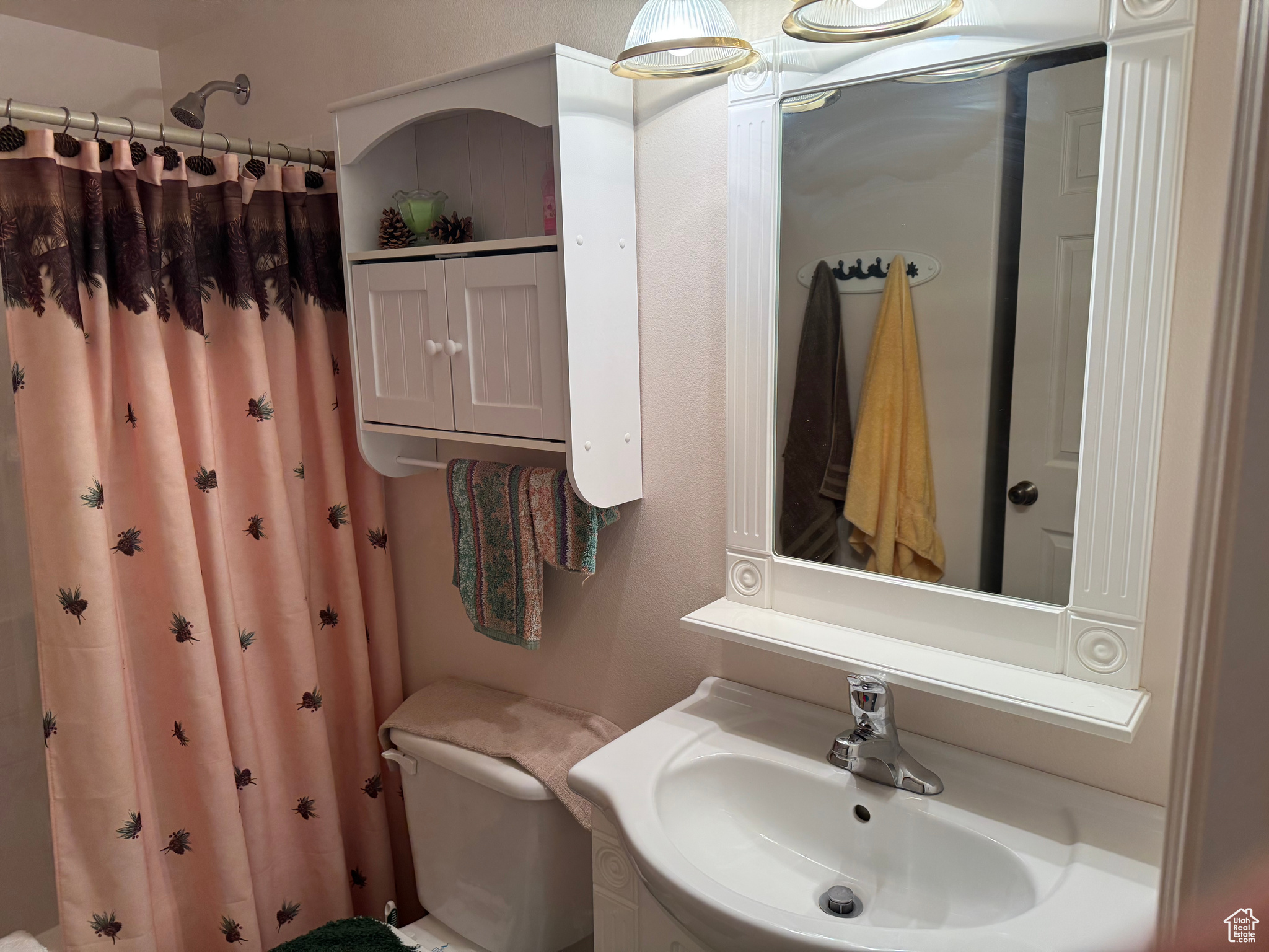 100 Juniper View Dr, Fairview, Utah image 11