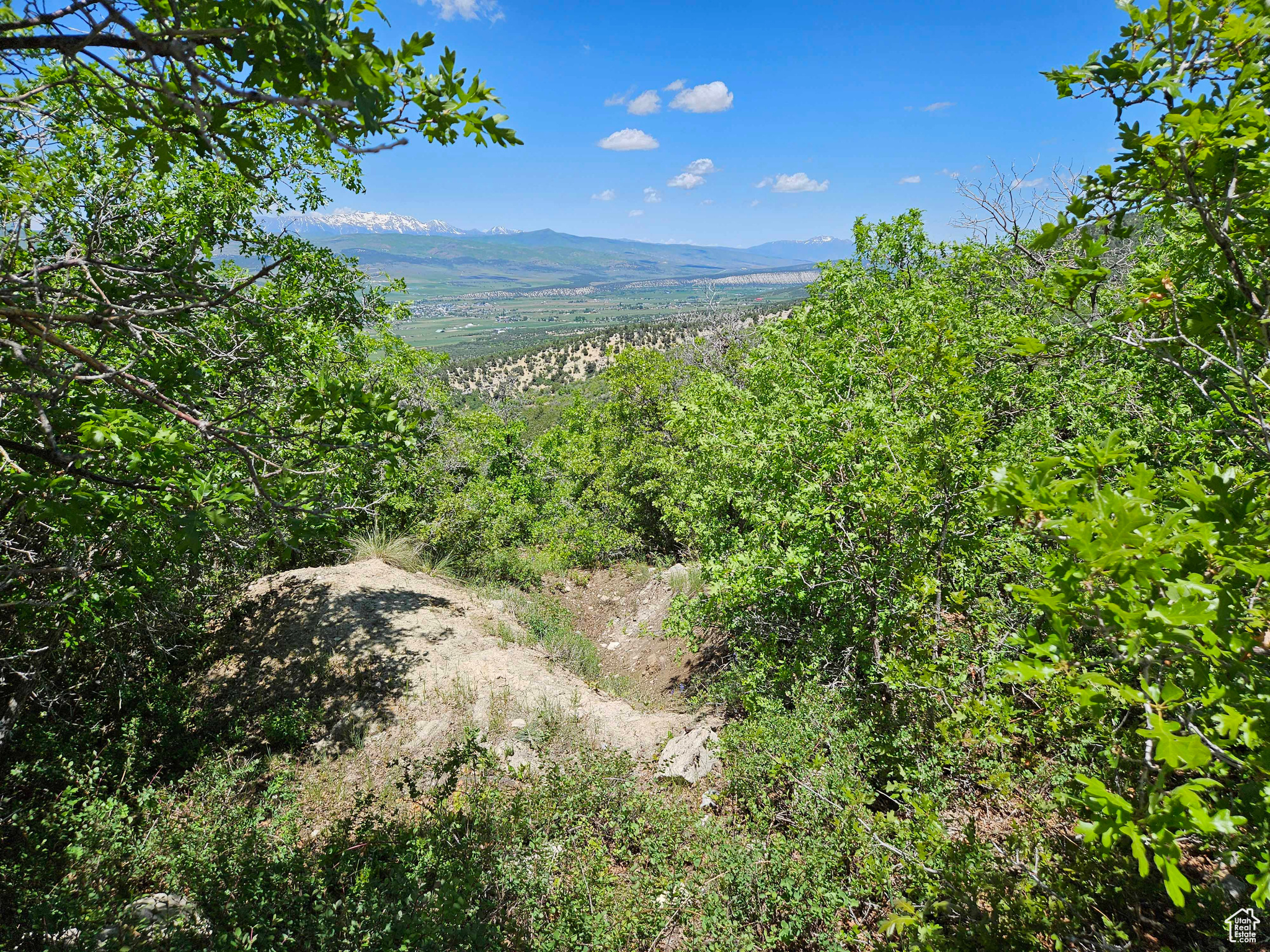 5 Red Fox Way #5, Fairview, Utah image 8