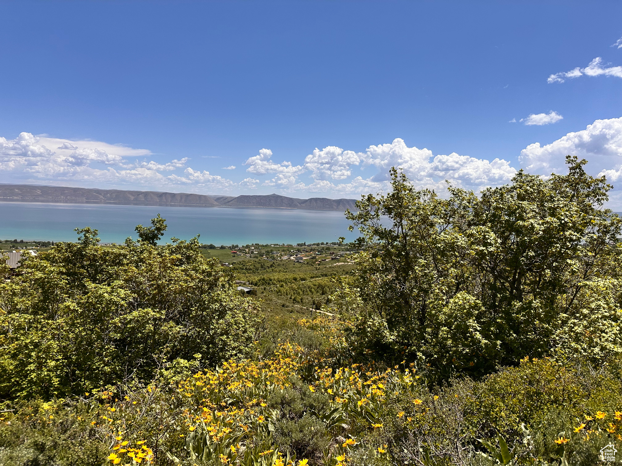 BEAR LAKE WEST PROPERTIES PLAT C - Land