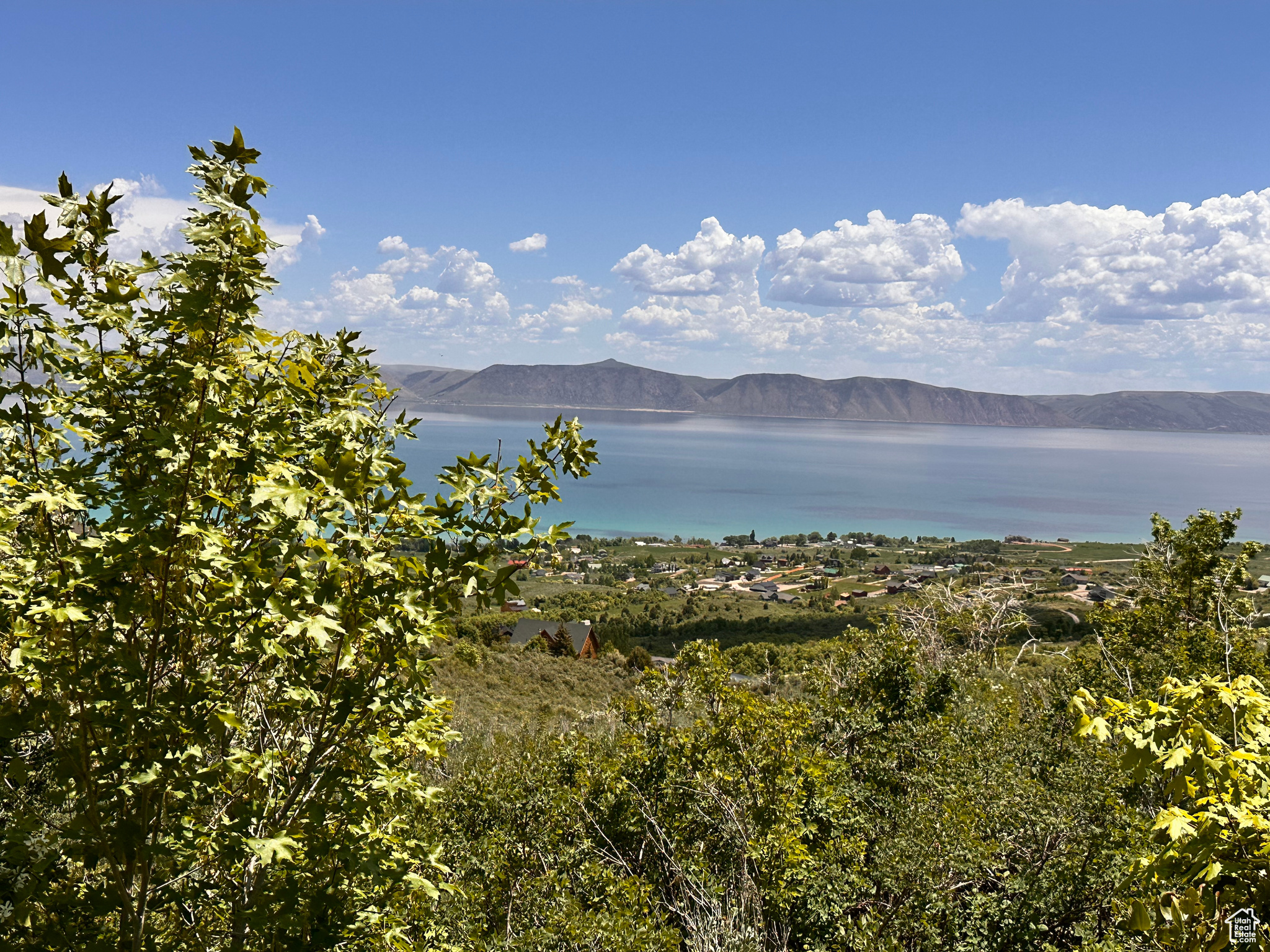 BEAR LAKE WEST PROPERTIES PLAT C - Land