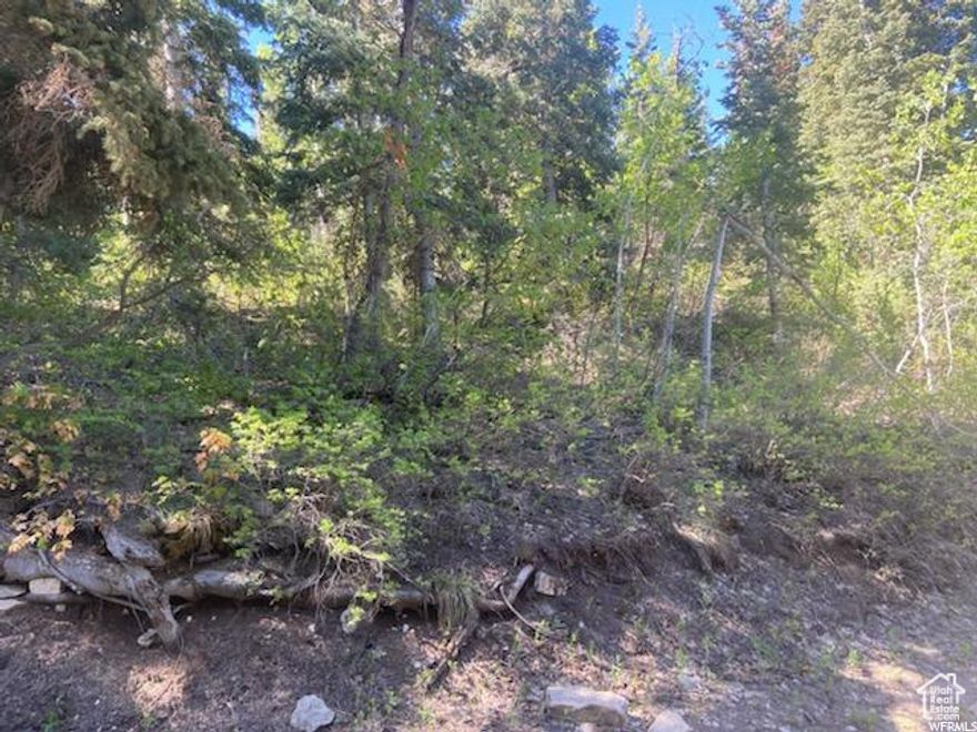 Get away from it all at this beautiful 1.24 acre lot with Pines in the Skyline Mtn gated Resort! Located high on the hill, this property has a beautiful view looking north. It has a small driveway but would need to be developed. HOA fees are $60 a month, which gives you access to tennis courts, pavilions for gatherings, a pickle ball court, a swimming pool, and a golf course! Each lot owner receives a $60 punch-pass per year for golfing and swimming plus member pricing. This area has so many options for outdoor activities including hiking, camping, and four wheeling. During the winter months, snowmobiles are needed for access. Utilities: Sewer not available- septic tank would need to be installed. Water is hauled in from a central filling station. Power available with a connection fee. Access is through an electric gate..