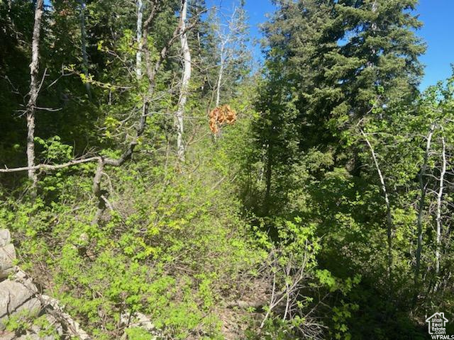 SKYLINE MOUNTAIN RES - Land