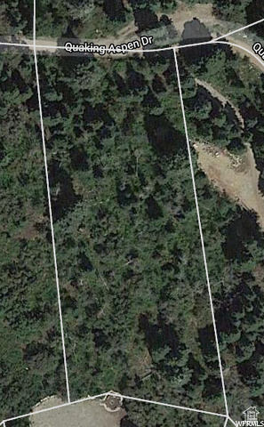 SKYLINE MOUNTAIN RES - Land