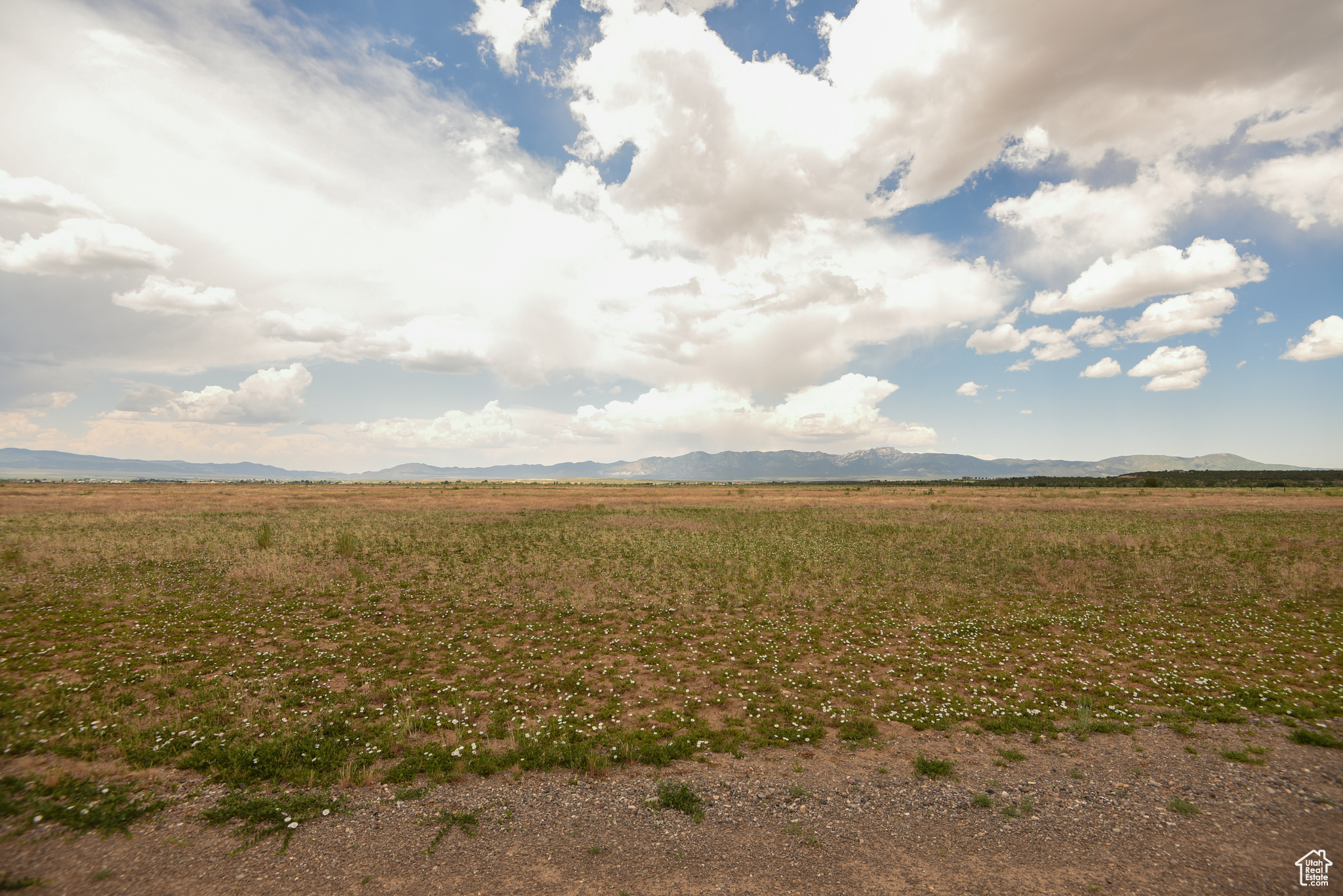 MINERAL VIEW ESTATES - Land