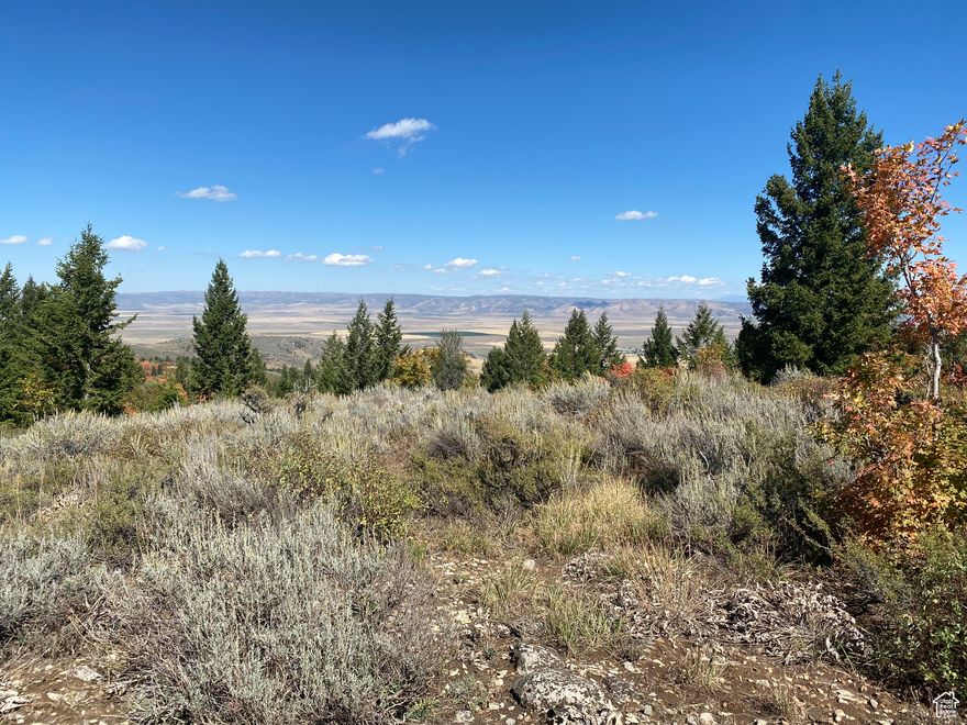 7.6-acre pine tree wooded Recreational Lot with CELL SERVICE located behind a locked gate that's ready for a cabin or your RV camp trailer located 15 miles from Lava Hot Springs, & 21 miles from Soda Springs, with an additional 7.6 wooded acres adjacent to the property that is available as well.  (see MLS # 2024908).  Access to the property is a well-maintained gravel road that is easily accessible with any vehicle.  Property has multiple places to build a cabin or park your camp trailers.  If you love the outdoors, you will never get bored in this place with 4 Portneuf River Access Points located within 30-45 minutes of property for both fishing and boating activities.  Property is in the Idaho Big Game Management Unit 74, with Game Management Units 71, 72, & 75 within a very close driving distance, with Mule Deer, Elk, Moose, Black Bear, & Turkey hunting experiences available.  Squaw Creek Ranchettes is directly adjacent to over 15,000 acres of BLM ground and the Petticoat Peak Wilderness Study Area, with over 200,000 additional acres of public land hunting and other recreational opportunities, made up of state, national forest, and BLM land available within a 3060-minute drive, with hundreds of miles of backwoods road and trails to explore.  Property is 18 miles from Chesterfield Reservoir, 20 miles from Alexander Reservoir, 38 miles from Blackfoot Reservoir, & 1 hour 15 minutes away from the popular recreational area of Bear Lake.  And don't forget the World Famous Mineral Hot Springs in Lava Hot Springs after a long day of recreating.  Property is 1 hour and 45 minutes to Star Valley Wyoming, 2  hours from Jackson Hole Wyoming, 45 minutes from the Pocatello Reginal Airport, 1  hours from the Idaho Falls Regional Airport, & 2  hours from the Salt Lake City Airport.