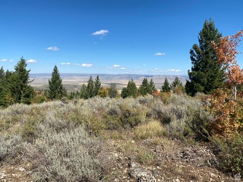 Vacant Land For Sale - #56<br/> Bancroft, ID 83217