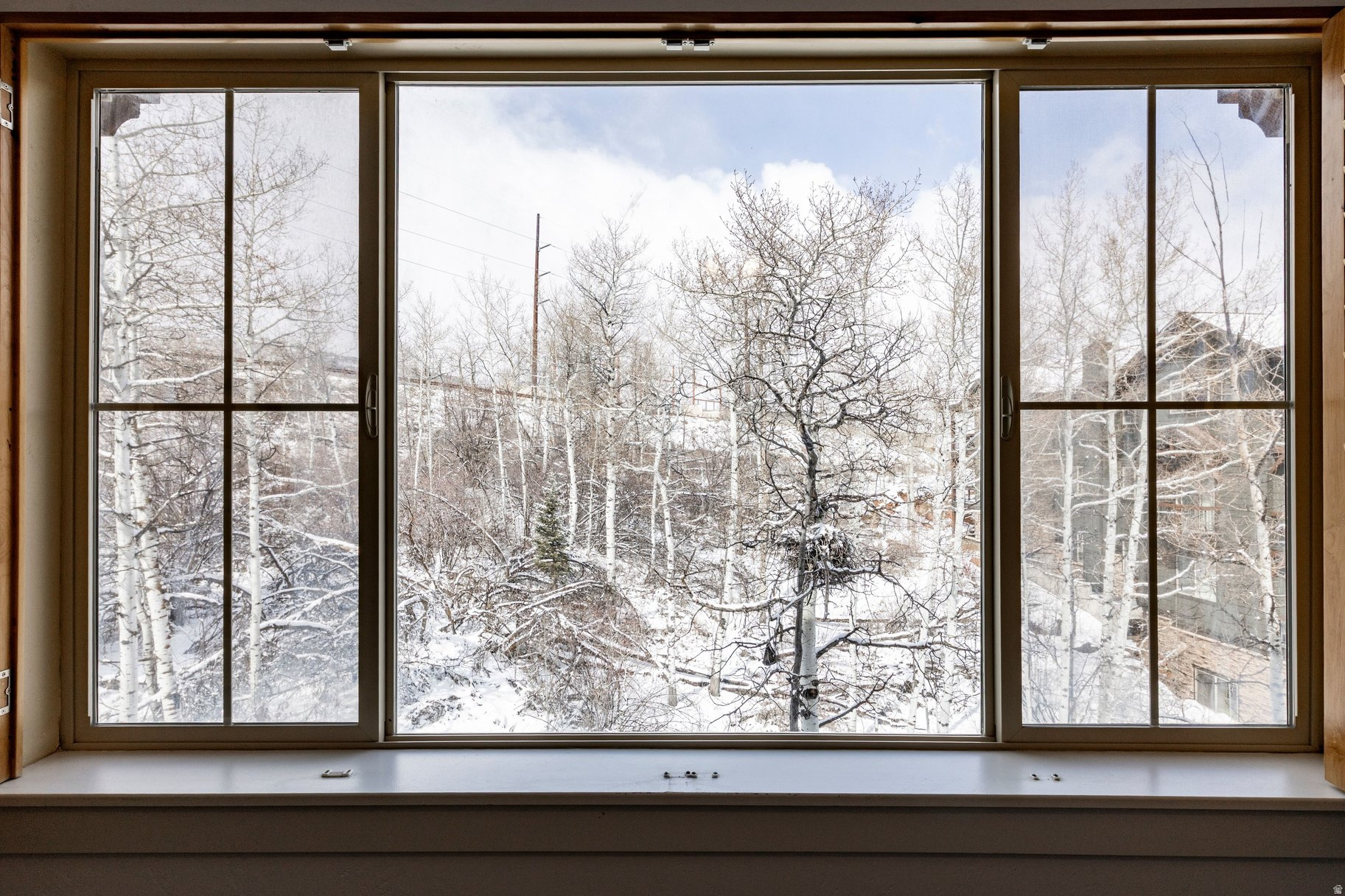 LODGES AT BEAR HOLLOW - Residential