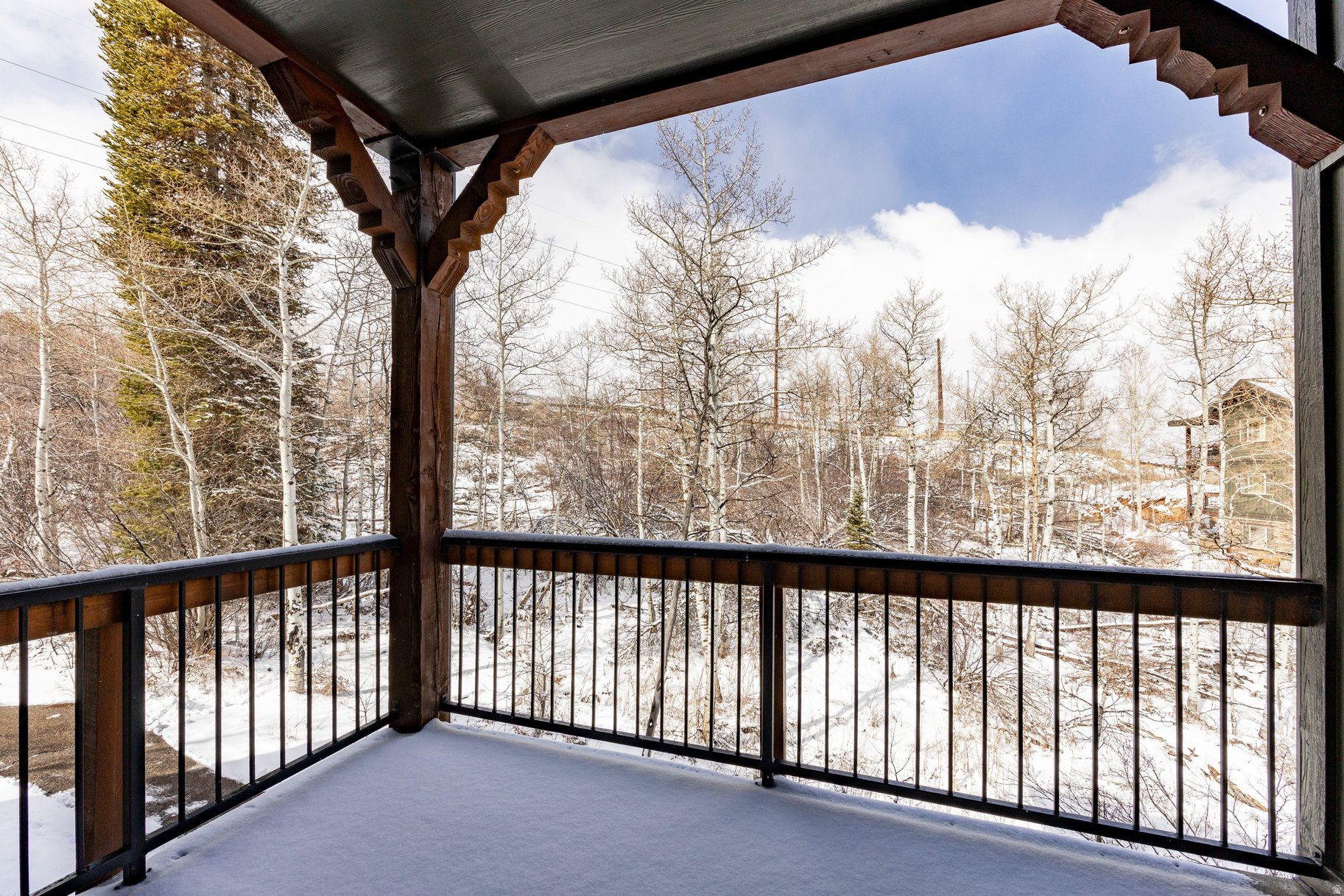 LODGES AT BEAR HOLLOW - Residential