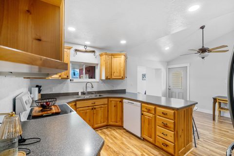 Tiny photo for 270 N 100 W, Goshen, UT 84633 (MLS # 2073744)