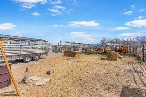 Tiny photo for 270 N 100 W, Goshen, UT 84633 (MLS # 2073744)