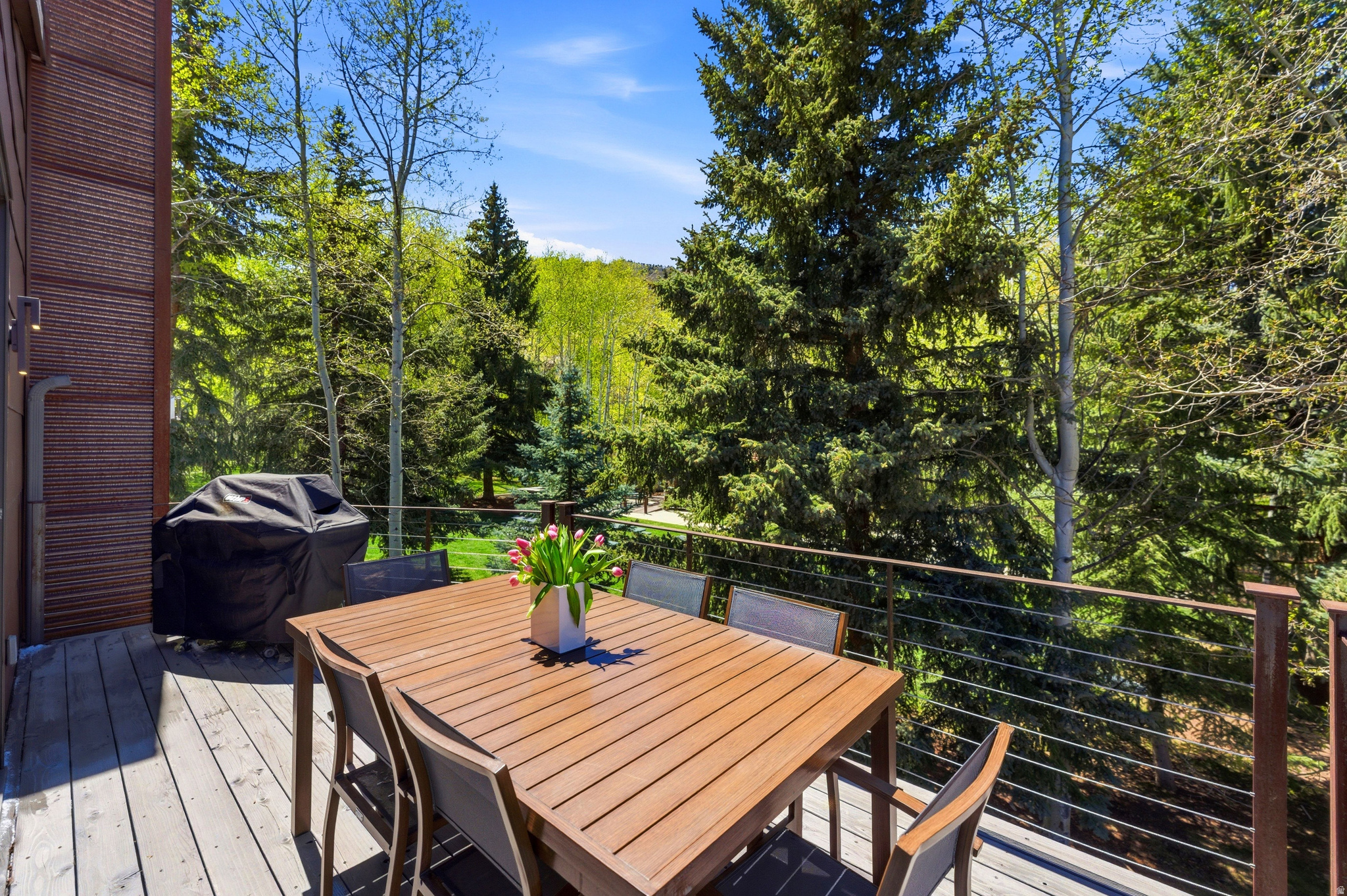 THAYNES CANYON SMALL, SUBDIVISION - Residential