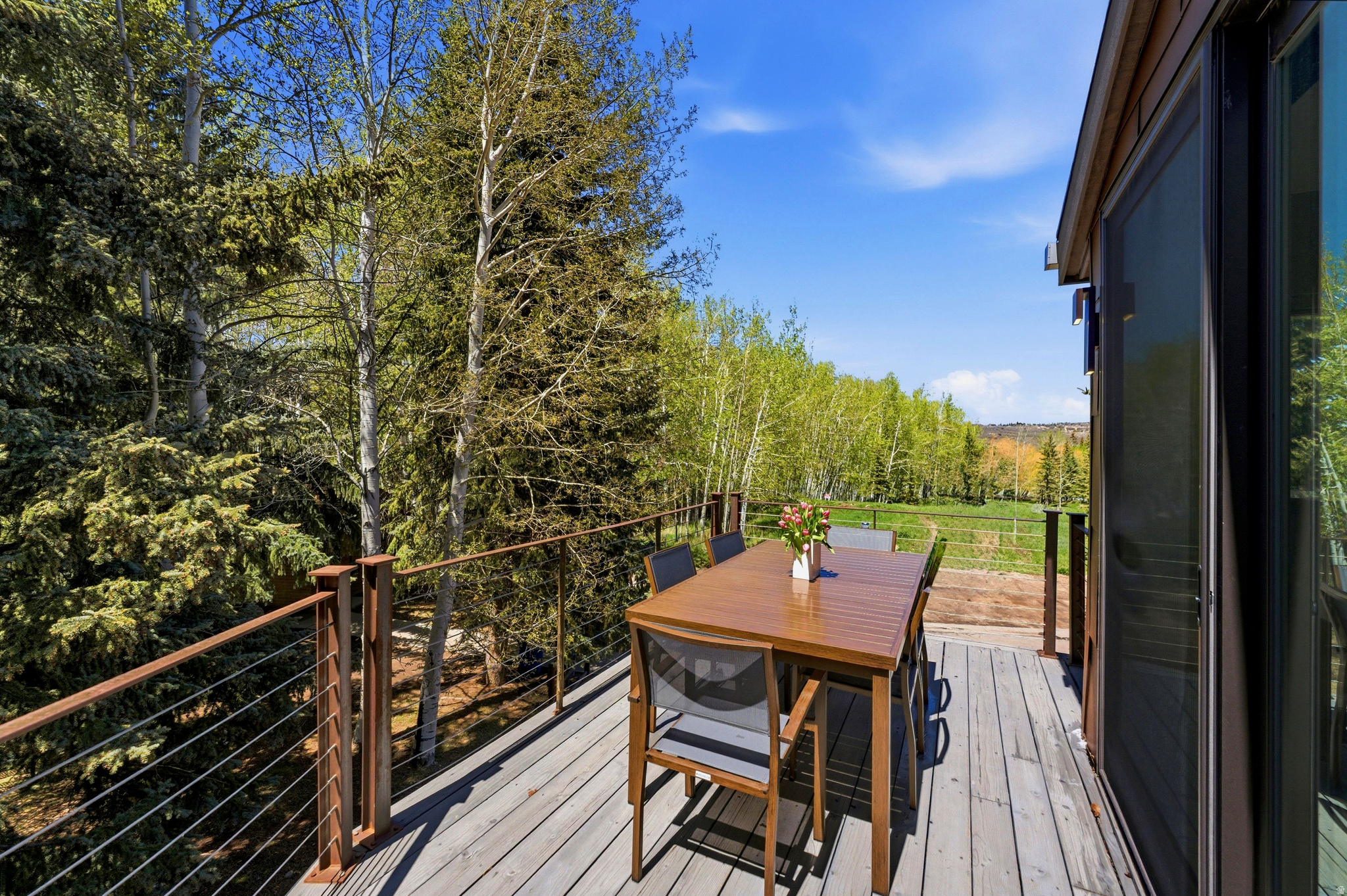 THAYNES CANYON SMALL, SUBDIVISION - Residential