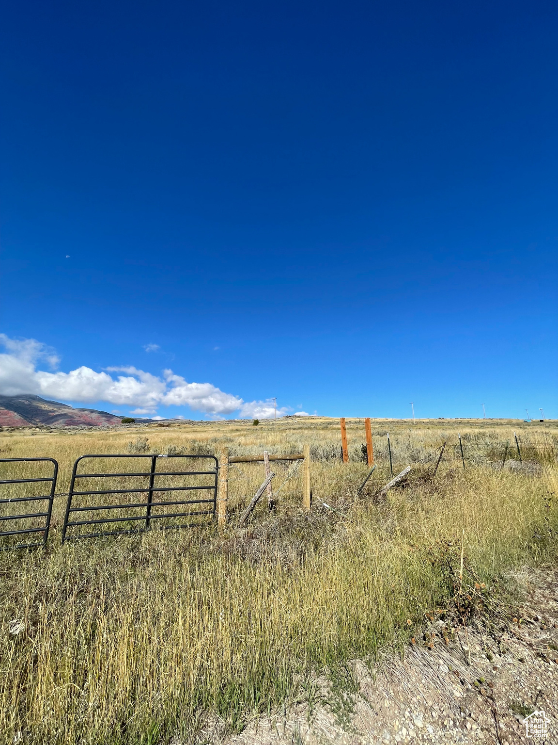 Land, Clifton, Idaho image 11