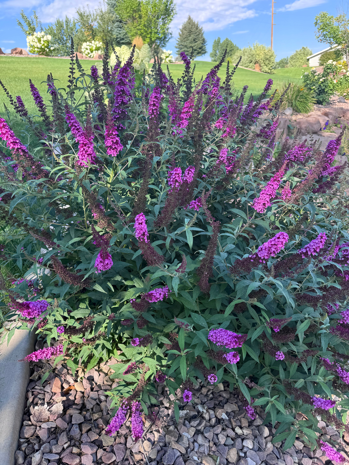 CANYON VIEW ESTATES - Residential