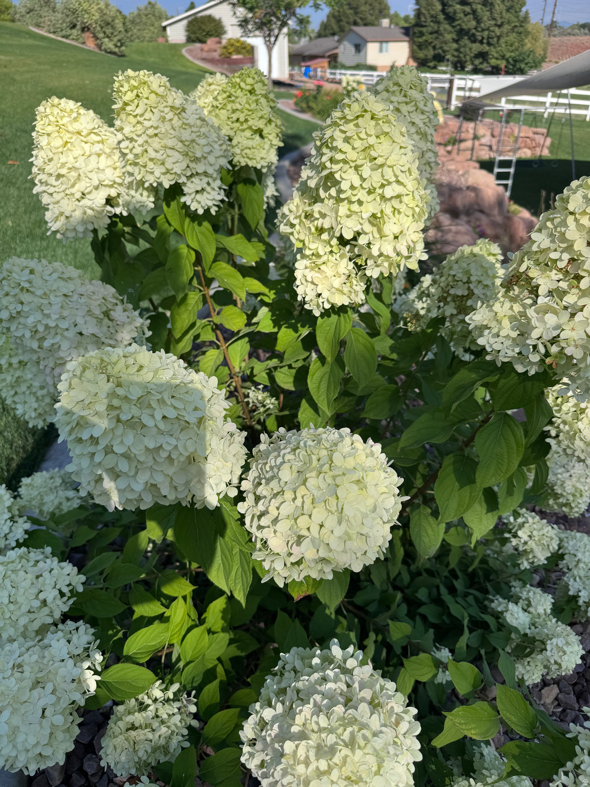 CANYON VIEW ESTATES - Residential