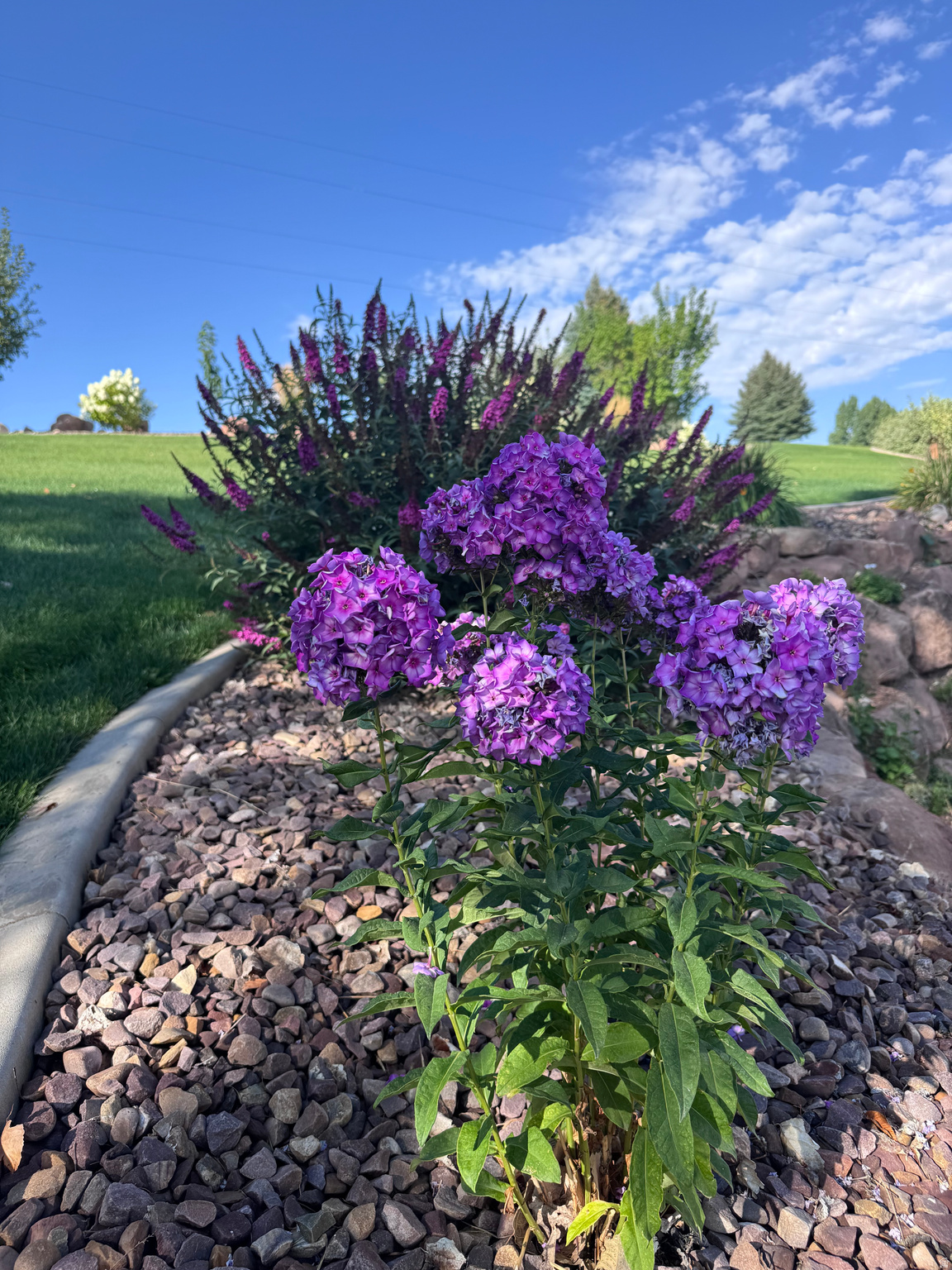 CANYON VIEW ESTATES - Residential