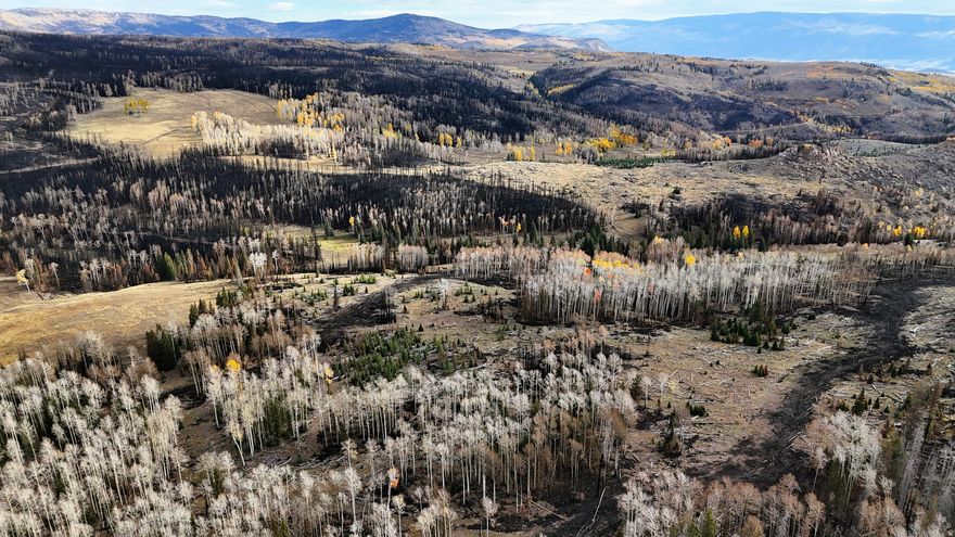 Located in the mountains of Sevier County, this 640-acre high-elevation property offers a combination of open meadows, mature timber, flowing water, and direct access to surrounding public land. The parcel spans roughly one square mile and sits within the well-known Monroe Mountain area, recognized for its wildlife habitat and recreational opportunities.  The landscape is characterized by open mountain meadows surrounded by stands of aspen and pine. The current ownership has actively managed the timber and vegetation for decades. As part of that process, expanded meadow areas are present throughout the property. While over 60% of the property was burned during the 2025 fire season, the damage was less severe due to these management techniques. Looking ahead, the property has been re-seeded, and there are water and habitat improvements planned for this spring and summer.   Water is a defining feature of the property. Several creeks and natural springs flow across the land, providing more than 1.5 miles of running water. These water sources move through both meadow and timbered sections of the property, contributing to the habitat diversity and providing year-round water for wildlife. The combination of water, cover, and forage has helped support a consistent presence of elk, mule deer, and a variety of other wildlife species.  Access across the property is supported by several miles of internal trails and roads. These routes were developed during past timber stand management operations and now provide convenient access throughout much of the acreage. The trail system allows for travel between meadow areas, timber stands, and the various water features found across the property.  The property includes a cabin that serves as a base for recreation or seasonal use. The structure measures approximately 24 feet by 36 feet and provides roughly 1,120 square feet of living space across two levels. The cabin includes two bedrooms, one bathroom, and a loft area. Interior features include wood paneling along with a kitchen and dining area. Large floor-to-ceiling windows face the surrounding meadow and timbered landscape, providing natural light and views across the property.  An outdoor living space is available through a deck and an upper-level porch. These areas provide additional opportunities for observing wildlife and taking in the surrounding landscape. Several relatively flat and open areas on the property could support additional structures or cabin locations, subject to local zoning and land use regulations.  The parcel is situated near several lakes and reservoirs in the region that offer fishing opportunities for multiple trout species. These waters provide additional recreational options within a short drive of the property.  This land also borders Fishlake National Forest on three sides. The national forest contains hundreds of thousands of acres of public land that support activities such as hunting, hiking, horseback riding, and other outdoor pursuits. Direct adjacency to public land expands the recreational footprint well beyond the boundaries of the private acreage. . In Utah, private parcels that are 640 acres or larger may be eligible for a landowner buck deer permit under state wildlife regulations. Additional opportunities may exist for cow or spike elk permits depending on seasonal wildlife management guidelines. Prospective buyers should verify eligibility and current regulations with the Utah Division of Wildlife Resources.  The property lies within the Monroe hunting unit, an area recognized for mule deer and elk populations. Habitat diversity across the property, combined with nearby public land, contributes to regular wildlife movement through the area.  Overall, this square-mile property offers a mix of high elevation meadow ground, timber stands, flowing water, and a cabin base camp setting. Its location adjacent to national forest land, combined with established trails, wildlife habitat, and nearby fishing wat
