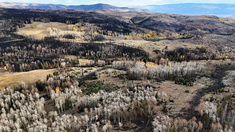 Vacant Land For Sale - 123 Tbd Monroe Canyon Rd<br/> Sevier County, Monroe, UT 84754