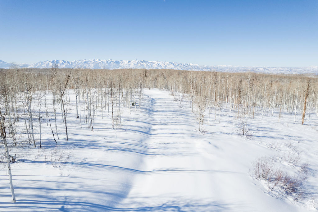 503 N Trappers Rd #63, Heber City, Utah image 15