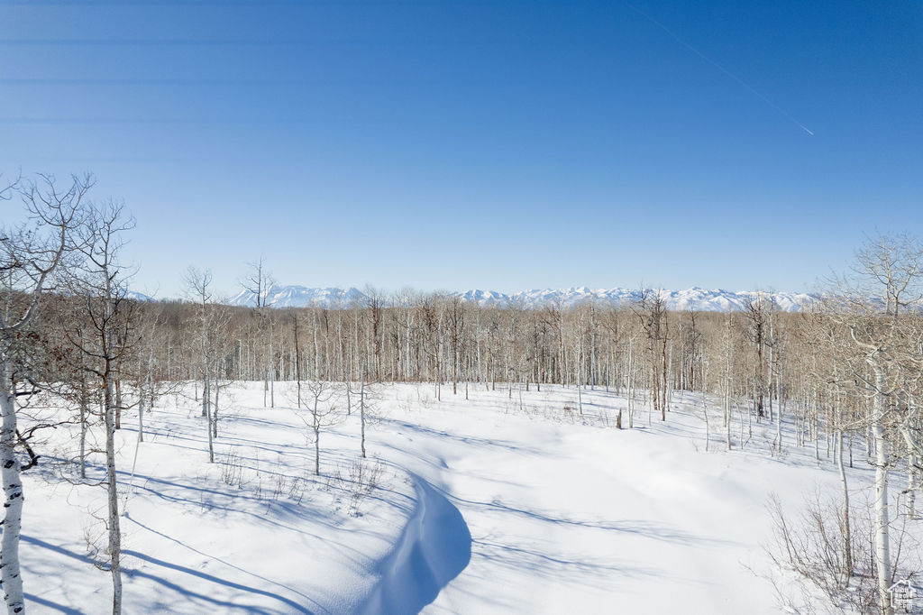 503 N Trappers Rd #63, Heber City, Utah image 13