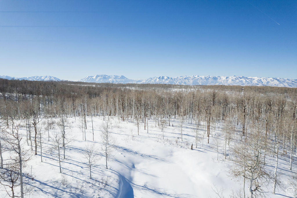 503 N Trappers Rd #63, Heber City, Utah image 16