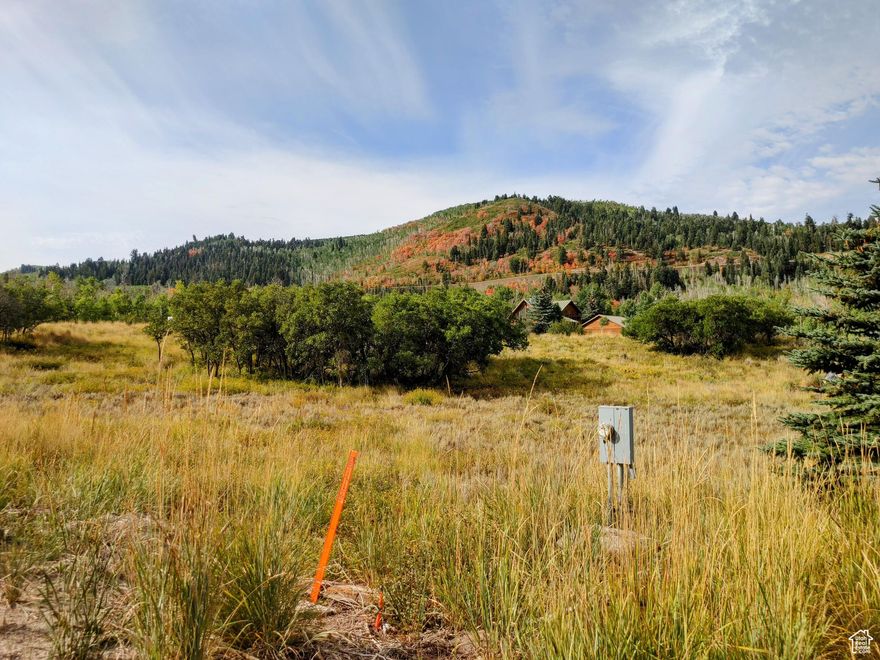 Tired of searching for Timber Lakes lots only to find they have septic/perc test issues, driveway issues, or are too steep and have hardly any useable space? Look no further, this lot is as good as it gets for ease of building whatever you would like. 100% of the lot is completely flat and useable. Plenty of room for additional R.V. parking or to build a shop/extra garage. Survey and septic design has been completed and approved by Wasatch County for up to a 6 bedroom home with a standard conventional system. This lot is located mid-mountain, with easy access off of a flat road, and within walking distance to the Jones Lake common area. Not too high up the mountain to make full-time living difficult which makes this location just right to go back and forth to Heber with ease, and still have the ability to snowmobile and recreate right from your front door! Very few of these lots remain and they are almost impossible to find.
