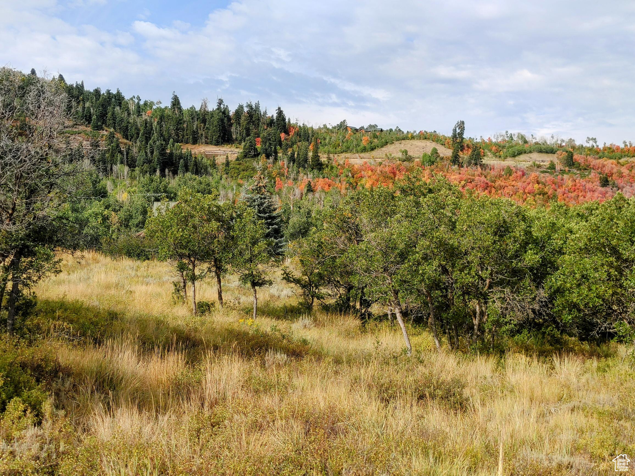TIMBER LAKES - Land