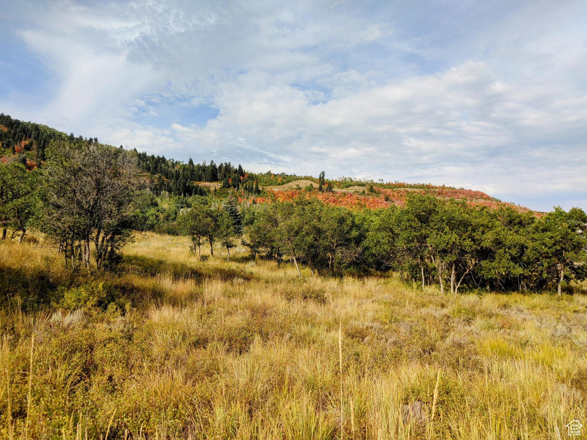 TIMBER LAKES - Land