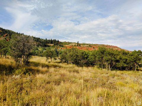 Tiny photo for 2514 S TIMBER LAKES DR #1058, Heber City, UT 84032 (MLS # 2109688)