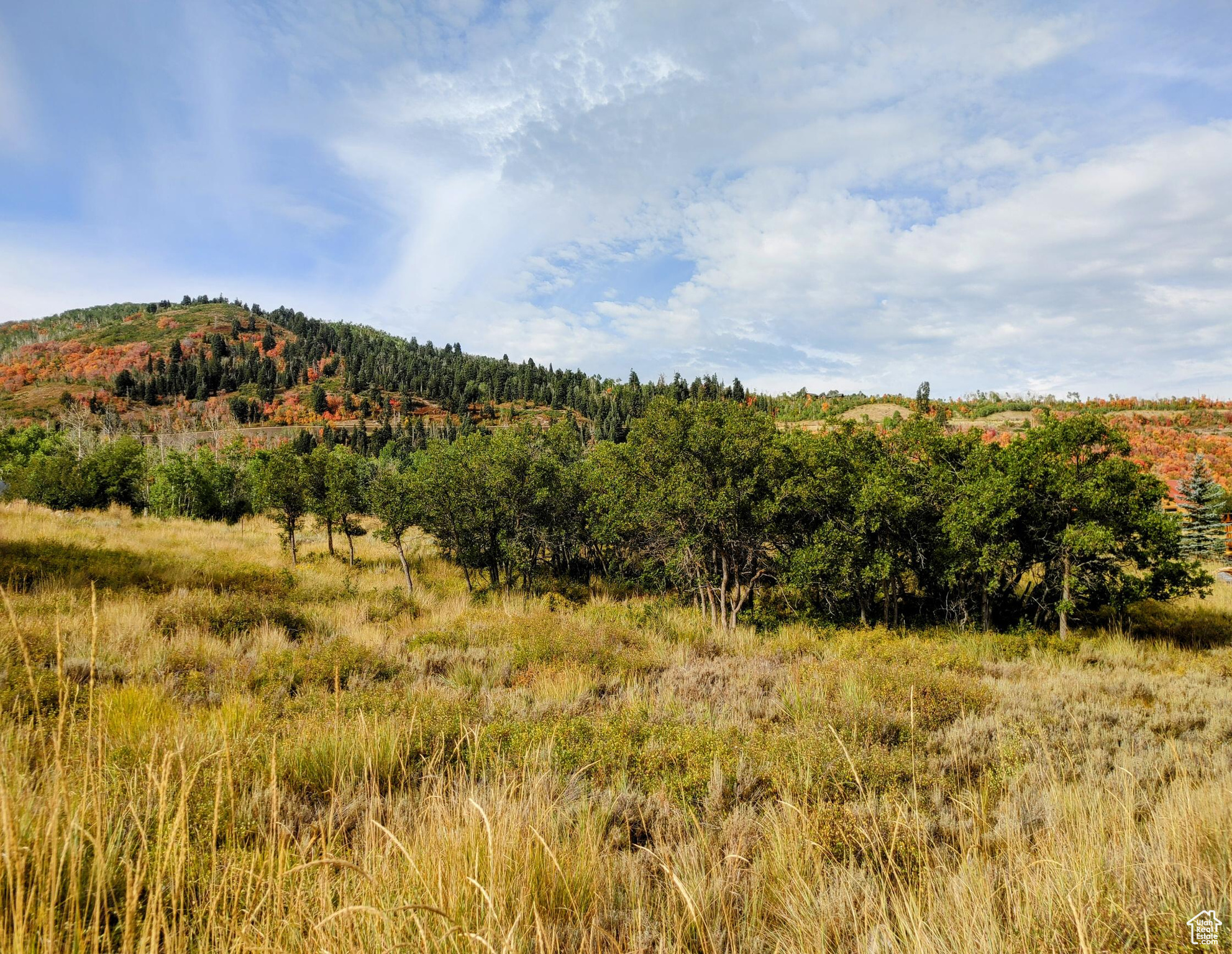 TIMBER LAKES - Land