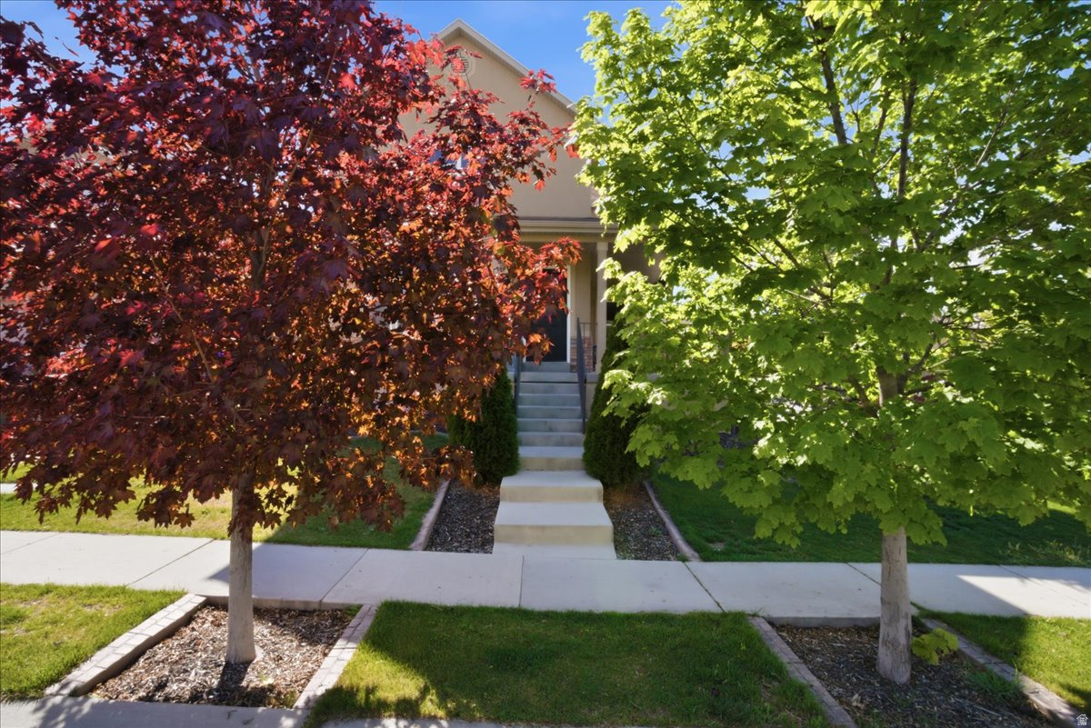 KIOWA VALLEY - Residential
