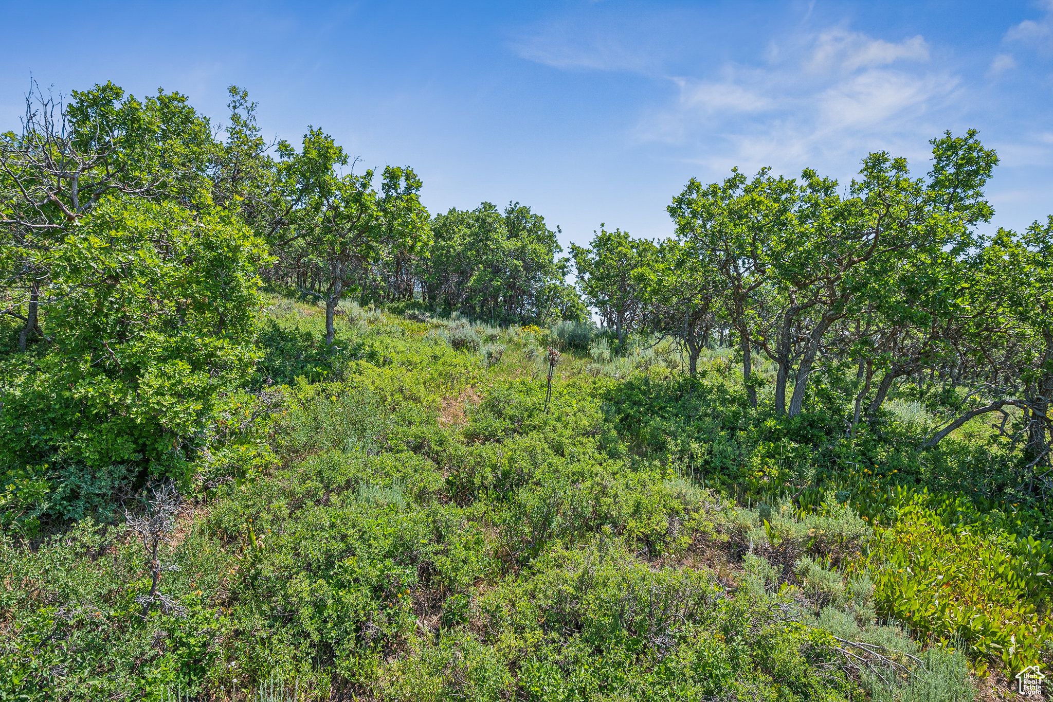 THE PRESERVE - Land