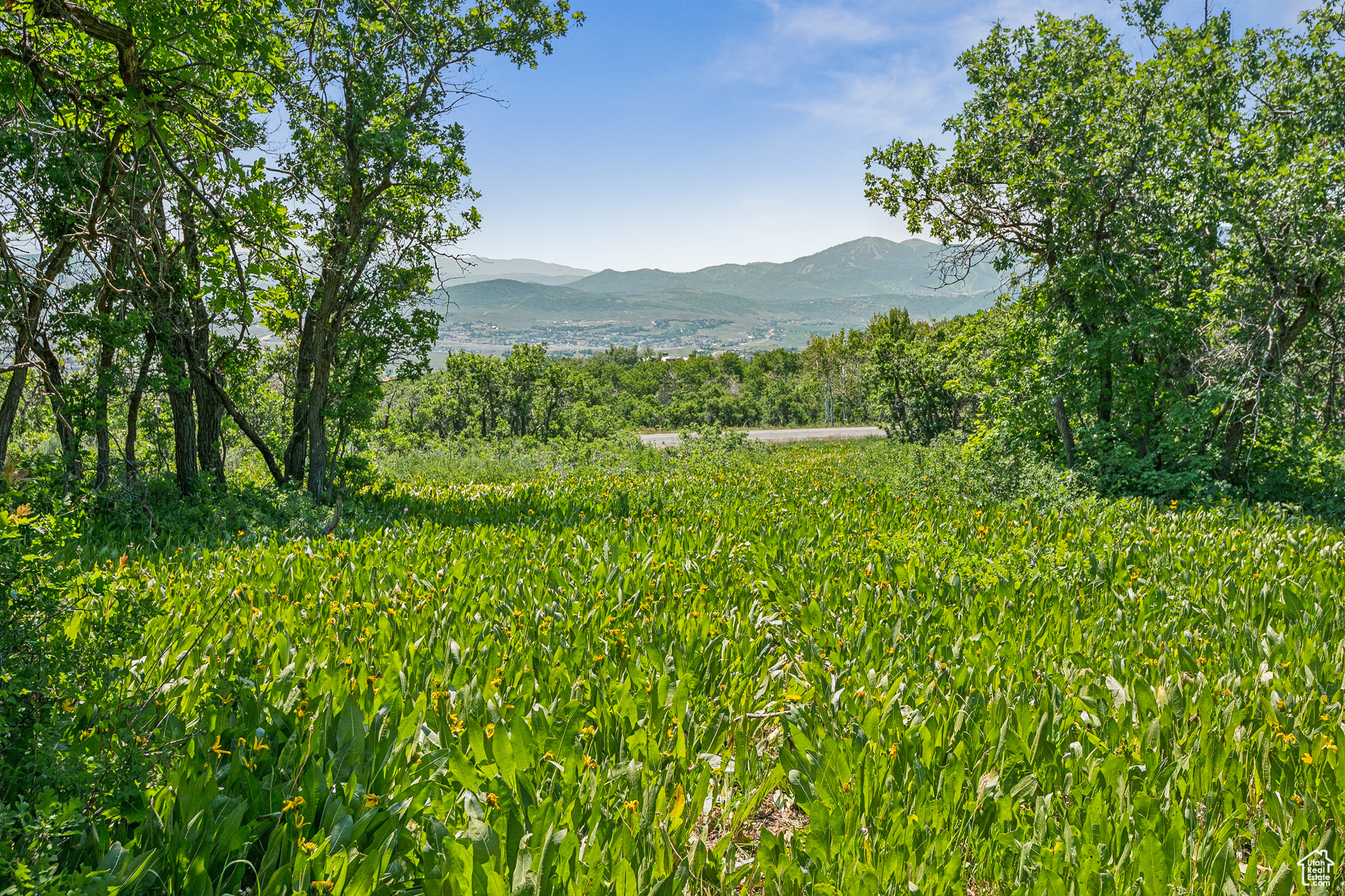 THE PRESERVE - Land