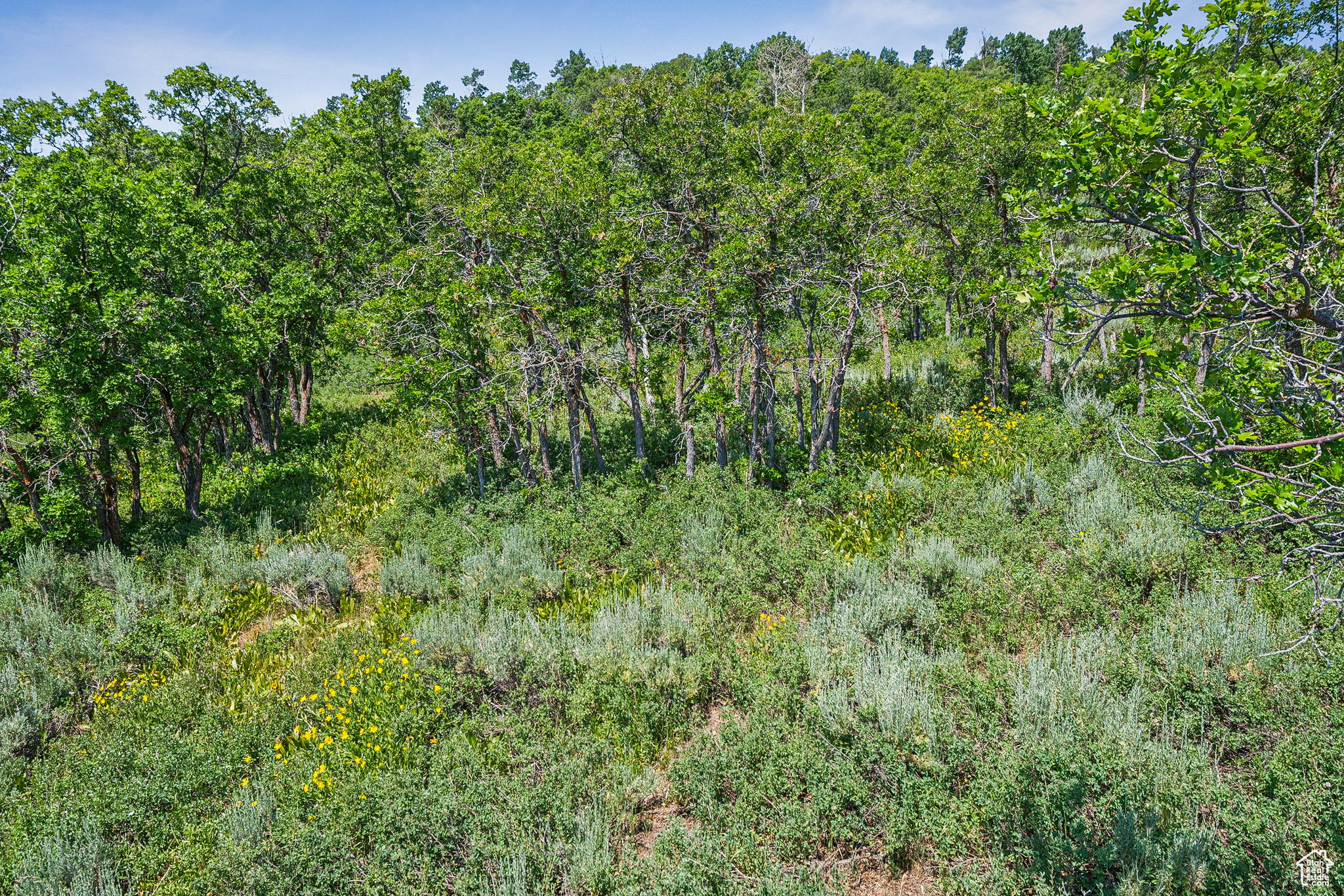THE PRESERVE - Land