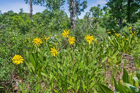Tiny photo for 1520 PRESERVE DR #74, Park City, UT 84098 (MLS # 2095871)