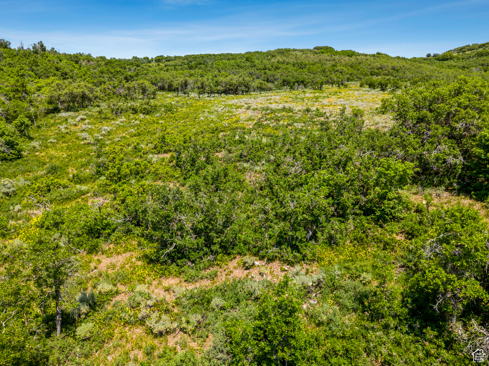 THE PRESERVE - Land