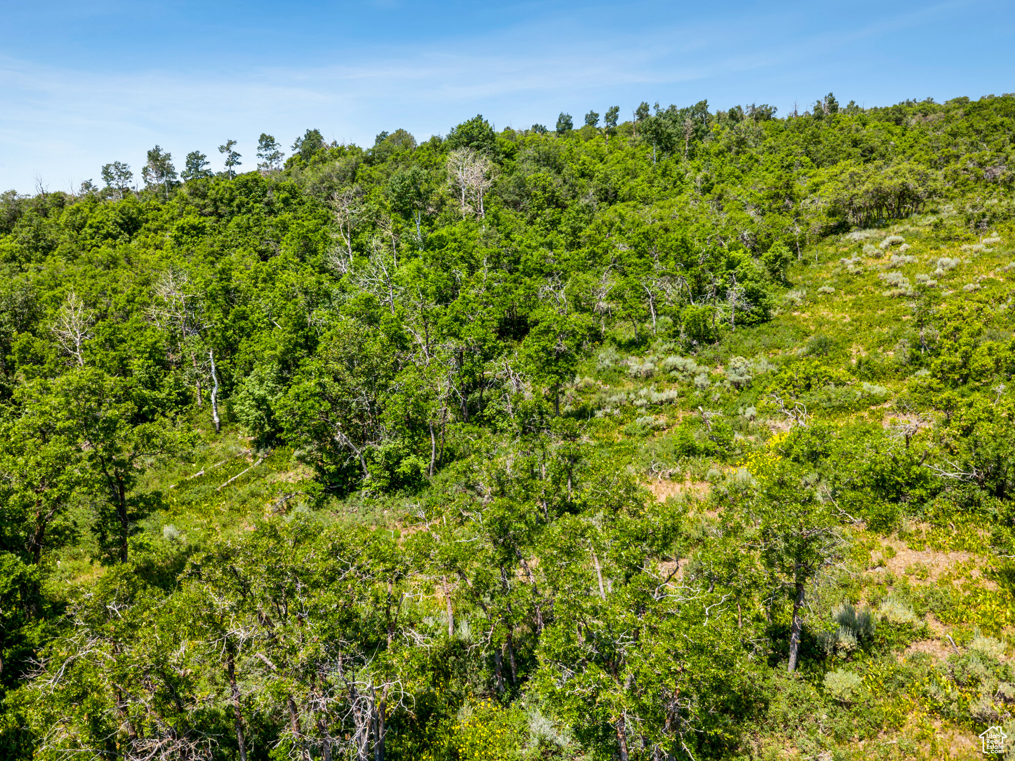 THE PRESERVE - Land