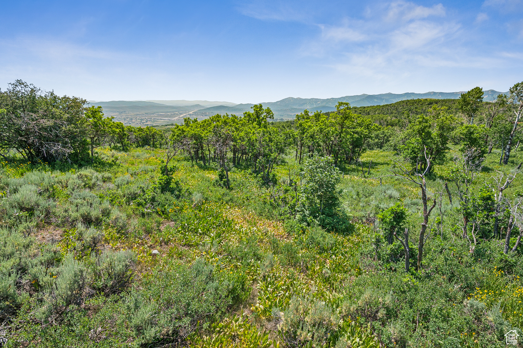 THE PRESERVE - Land
