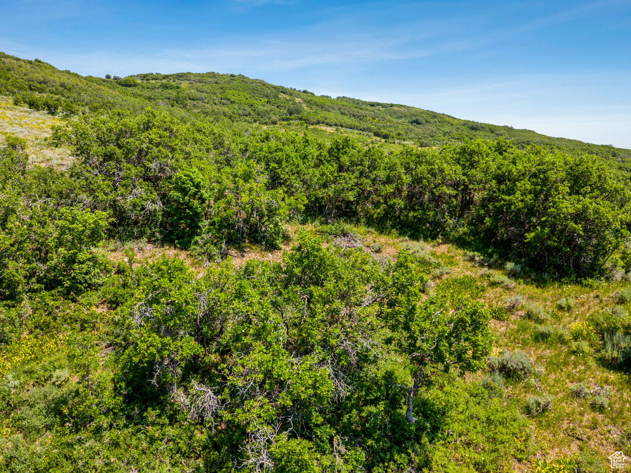 THE PRESERVE - Land