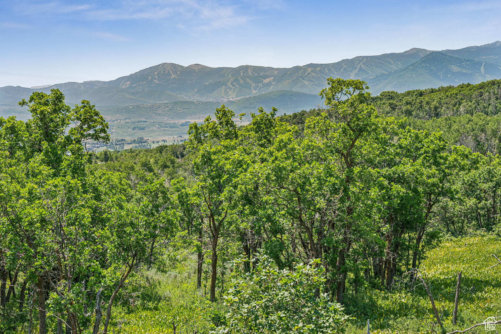 THE PRESERVE - Land