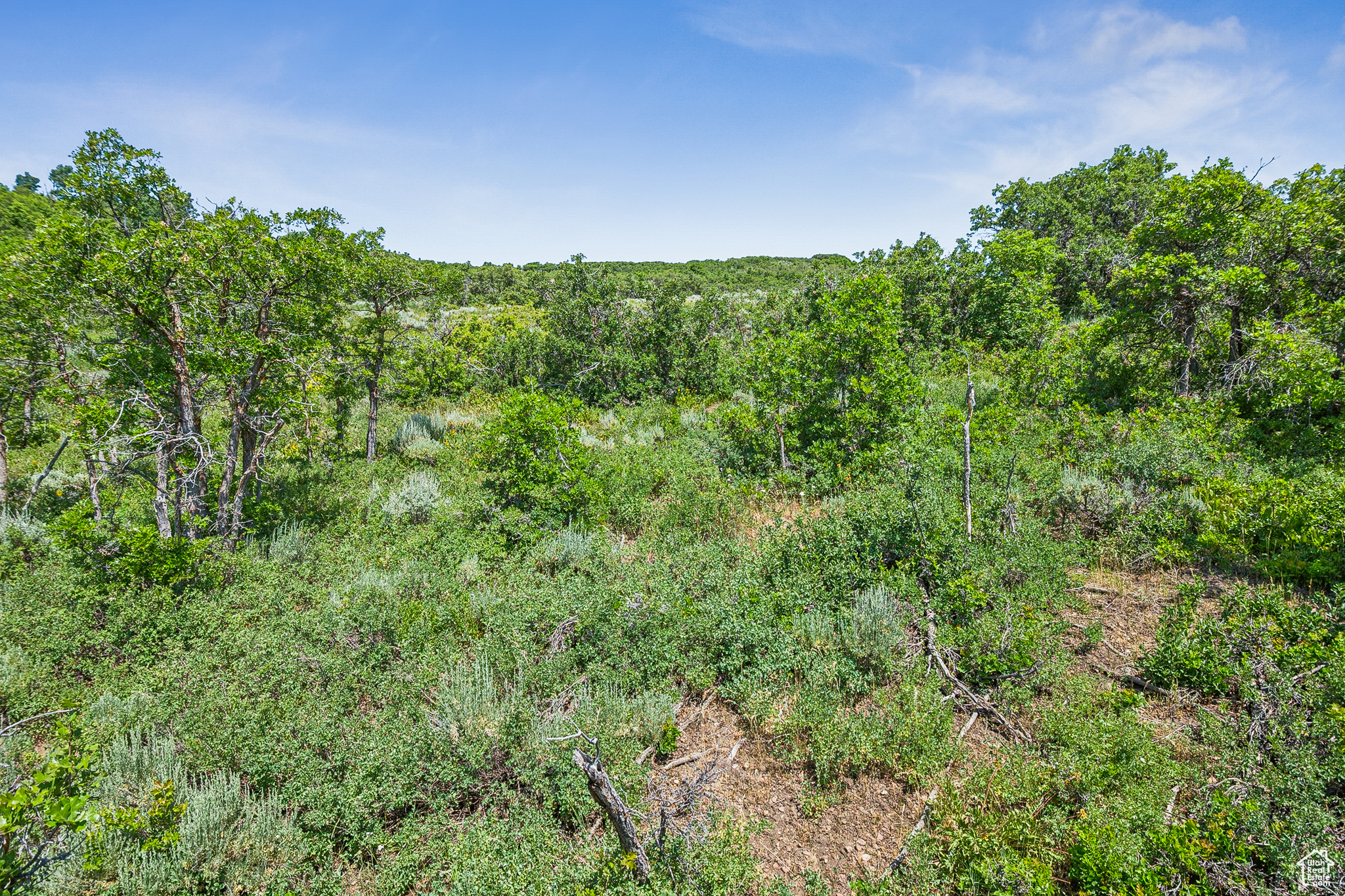 THE PRESERVE - Land